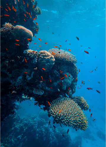 Shutterstock 7196860333