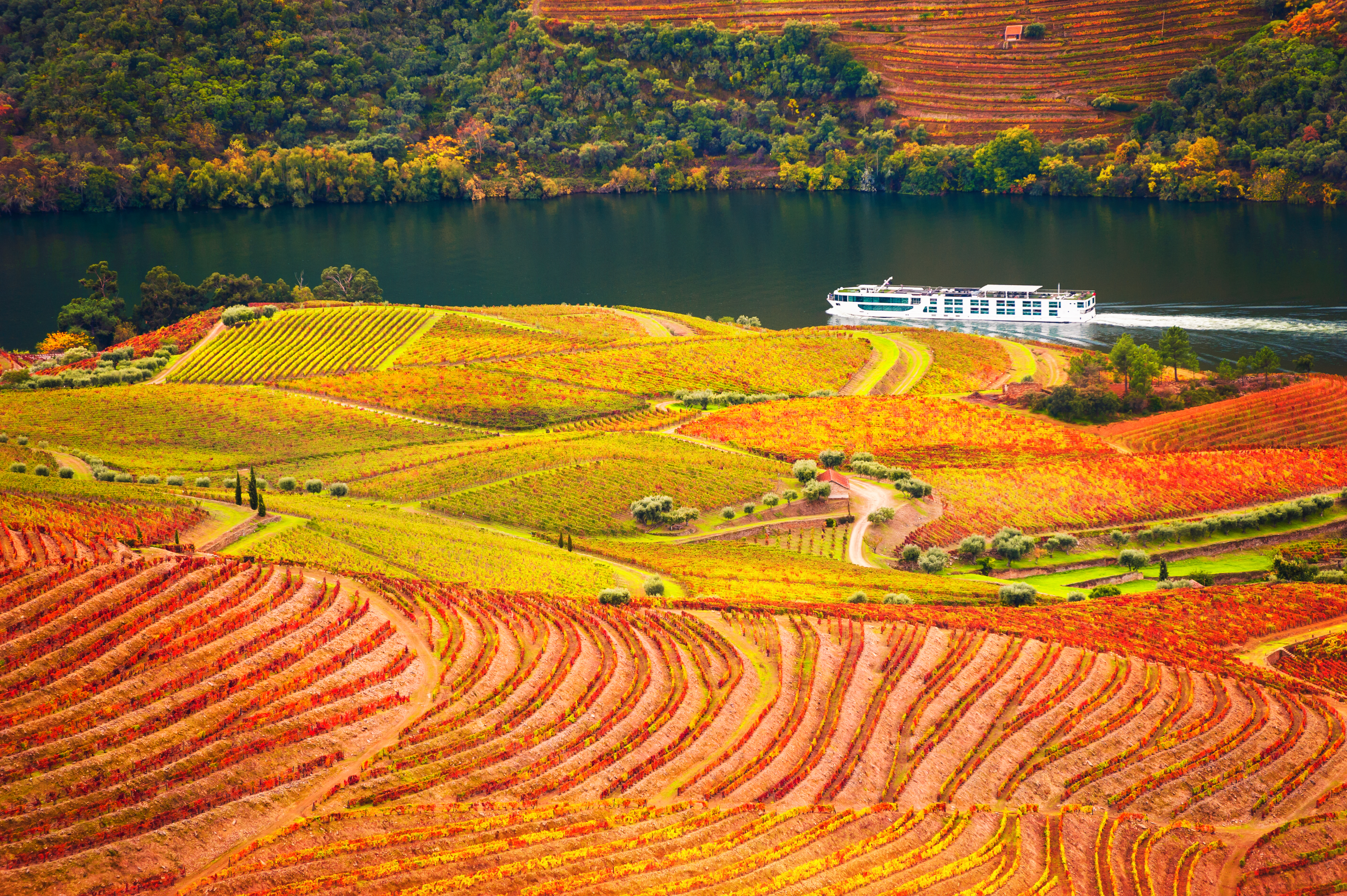 Landschaft des Douro-Tals im Herbst