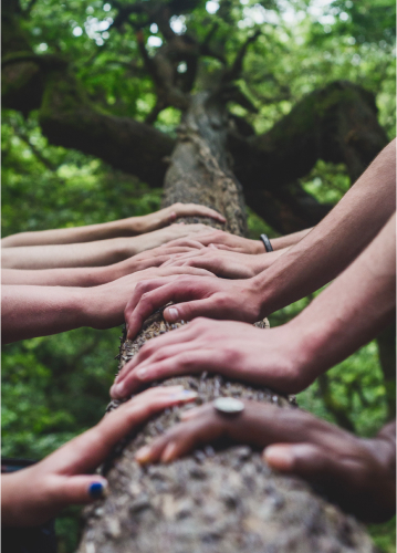 Shutterstock 7196860334