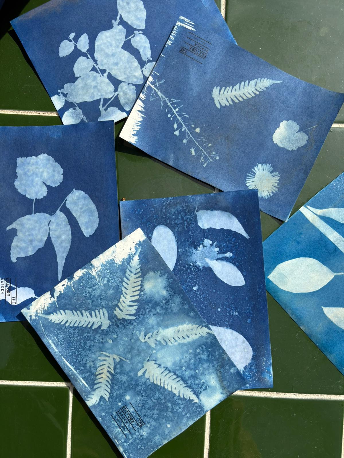 Whatsapp Image 2025 05 26 At 10.46.38