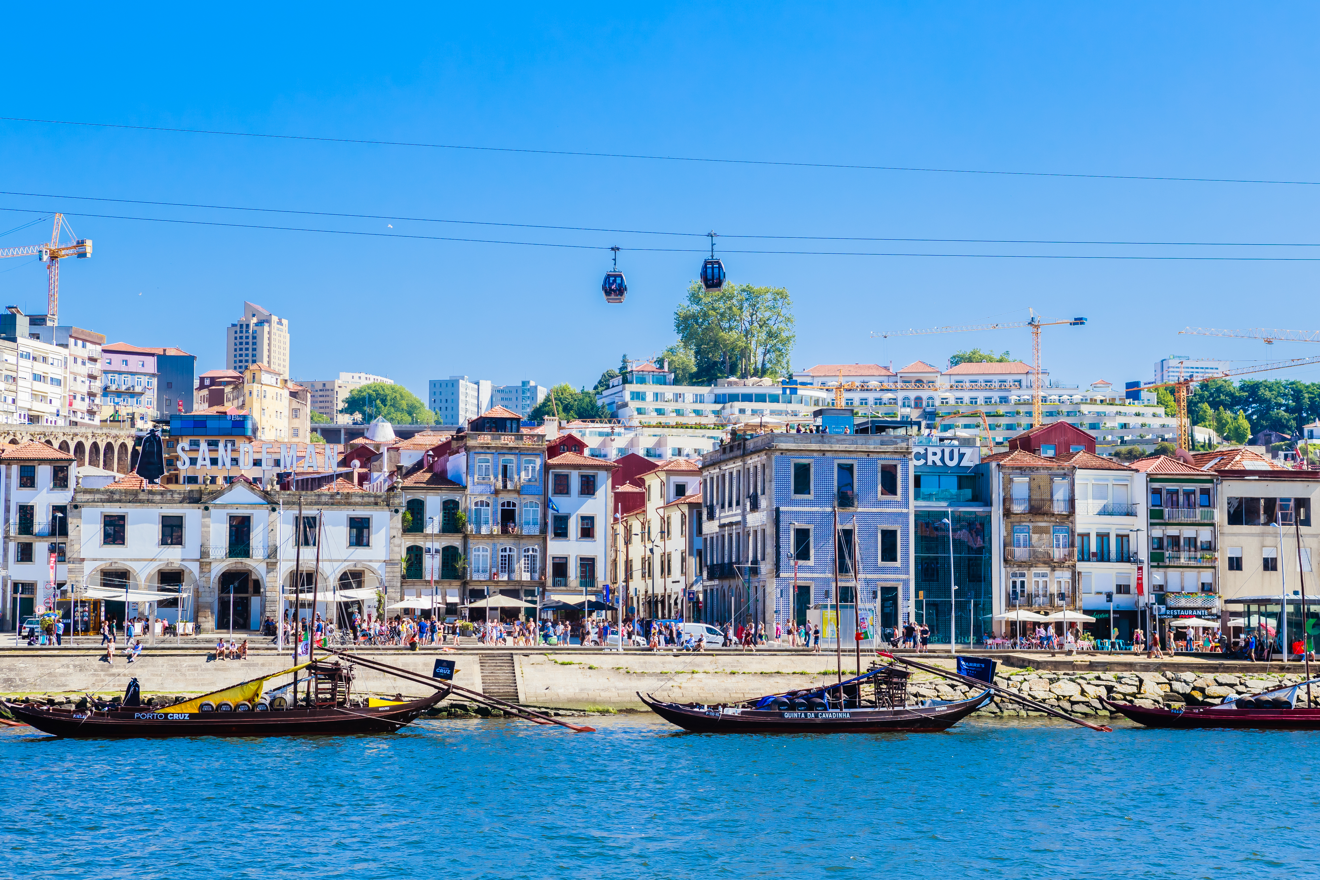 Shutterstock 1436363759