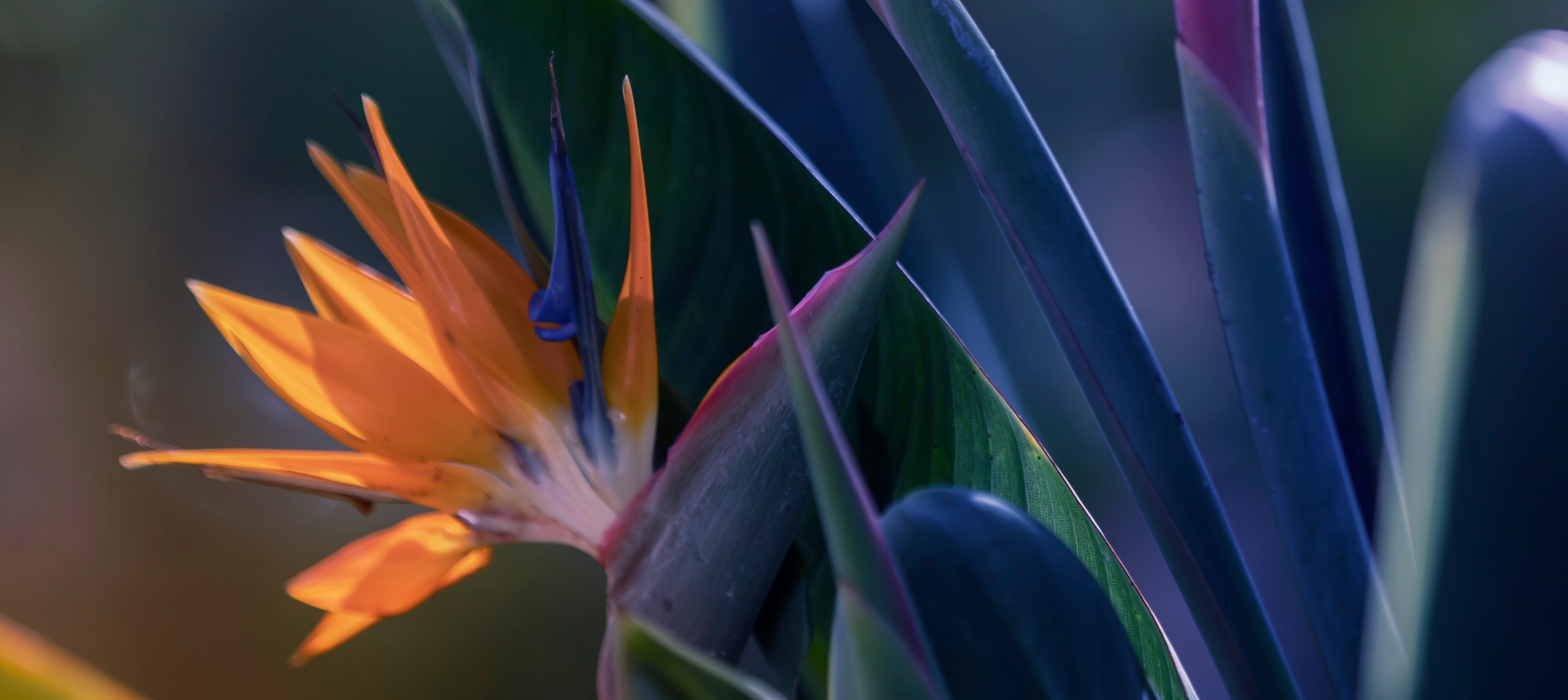 Shutterstock 2258662445 (1)