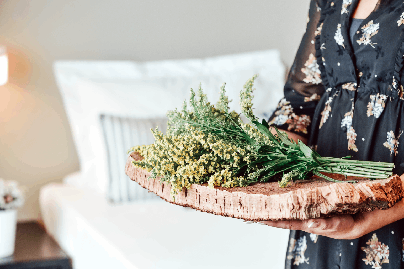 Aqualuz Troia By the Editory - Overview