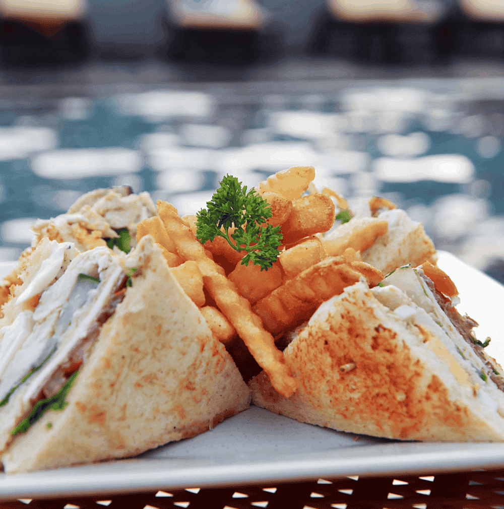 Shutterstock 84478333 (1) (1)