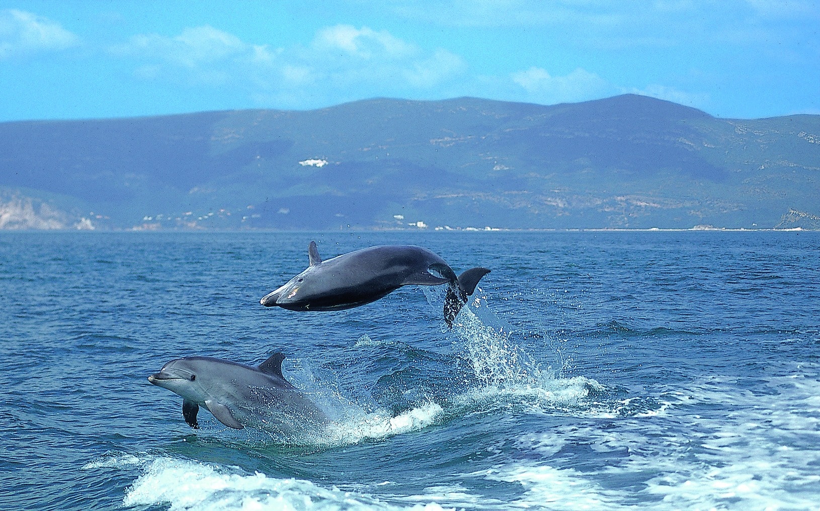 Patrimonio E Cultura GALERIA 7 Min
