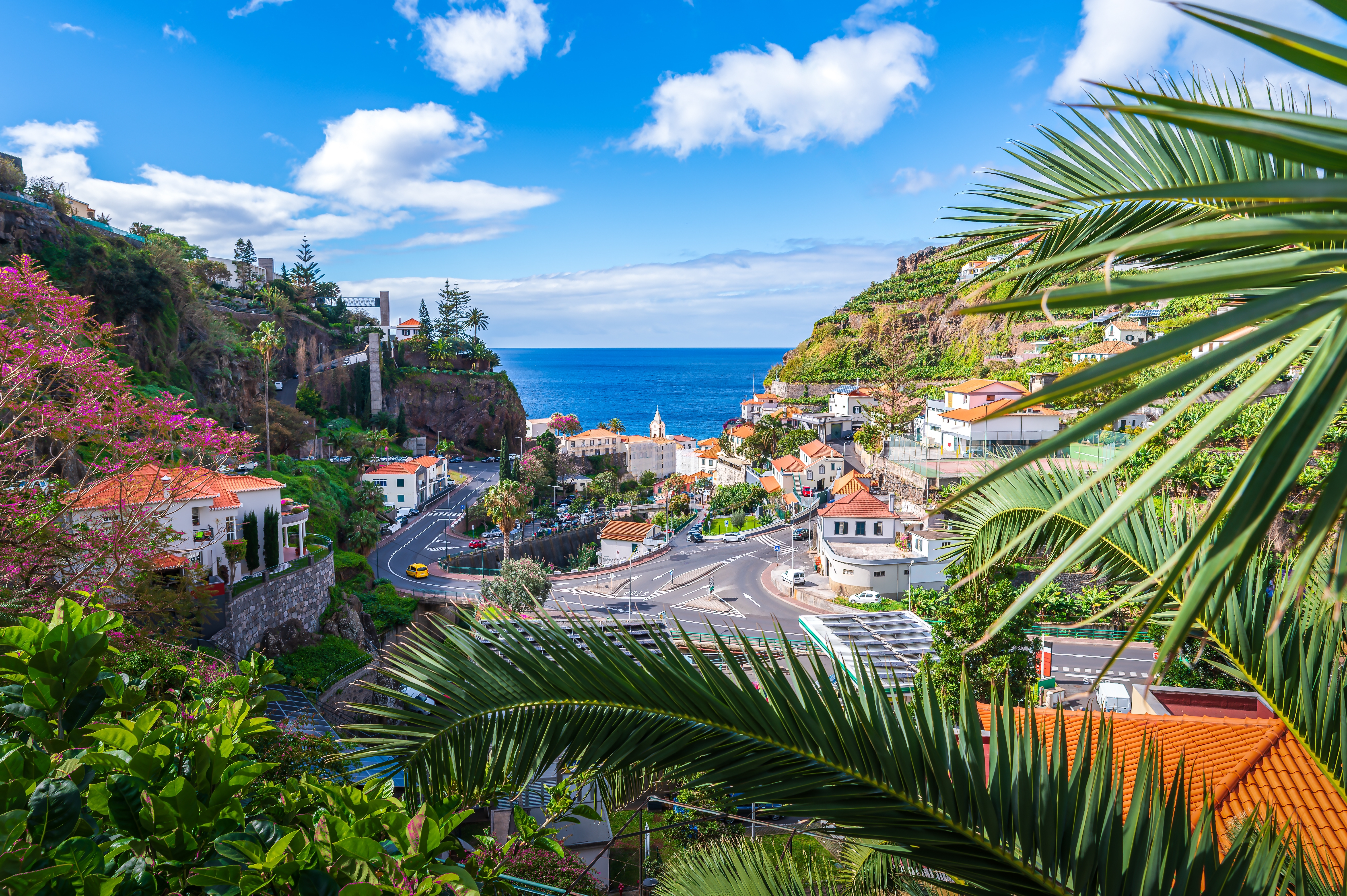 Vista panorâmica de uma vila costeira na Madeira, com casas tradicionais de telhados vermelhos, falésias verdes, estrada sinuosa e o oceano Atlântico ao fundo, enquadrada por palmeiras e vegetação tropical.