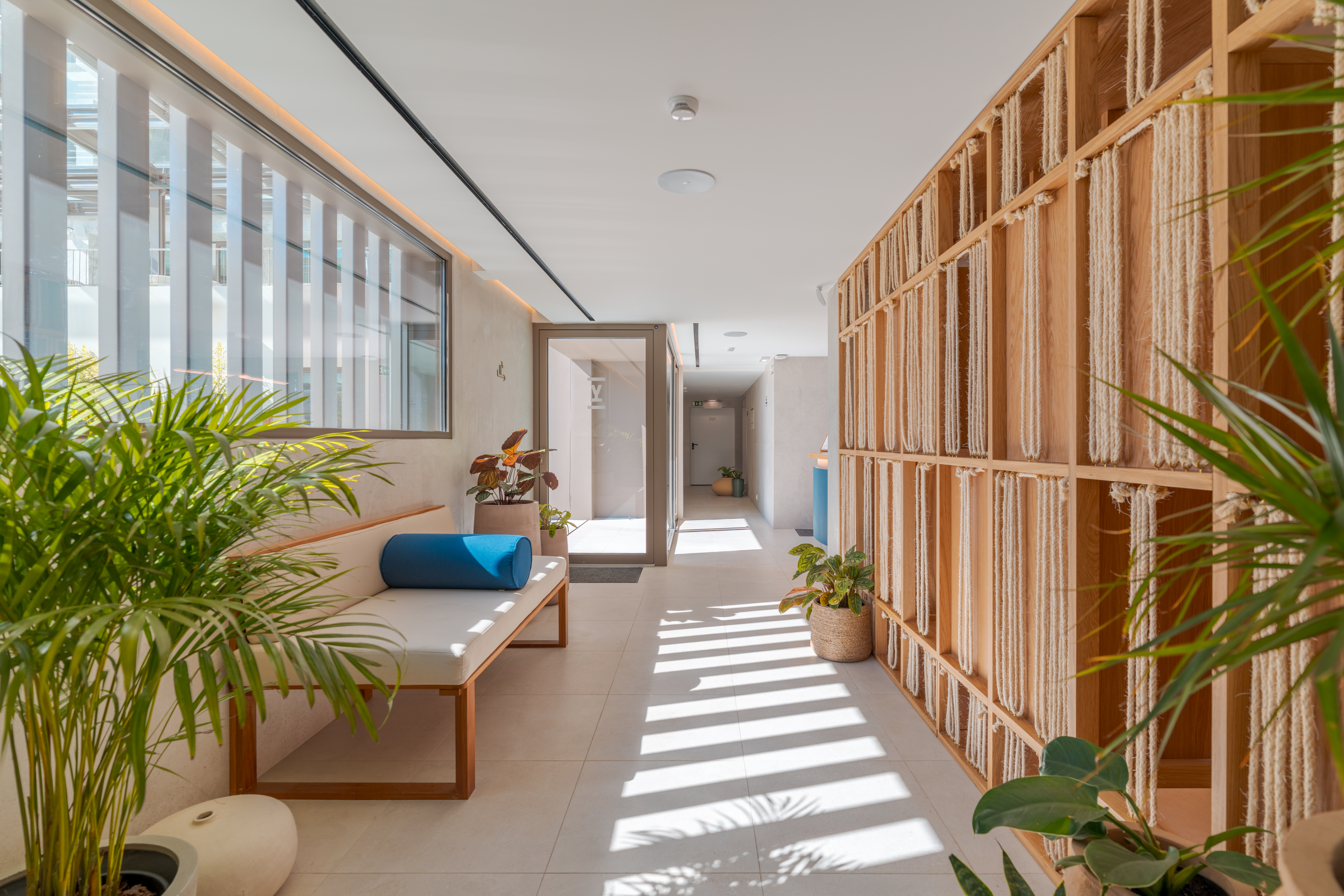 EDITORY OCEAN WAY FUNCHAL SPA 11022026 0047