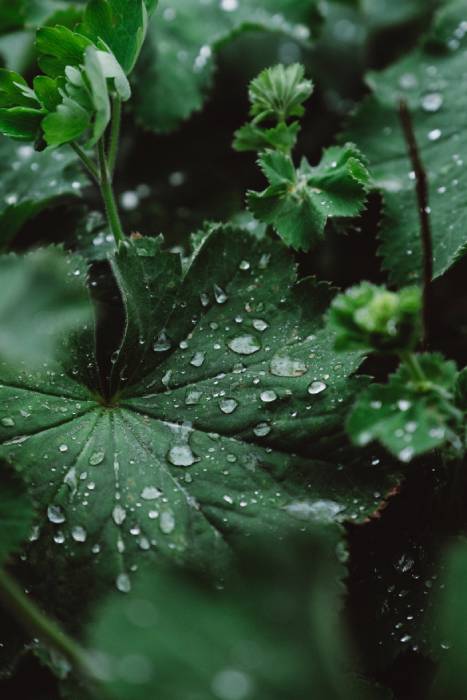 Foto Site SUSTENTABILIDADE Home Co2