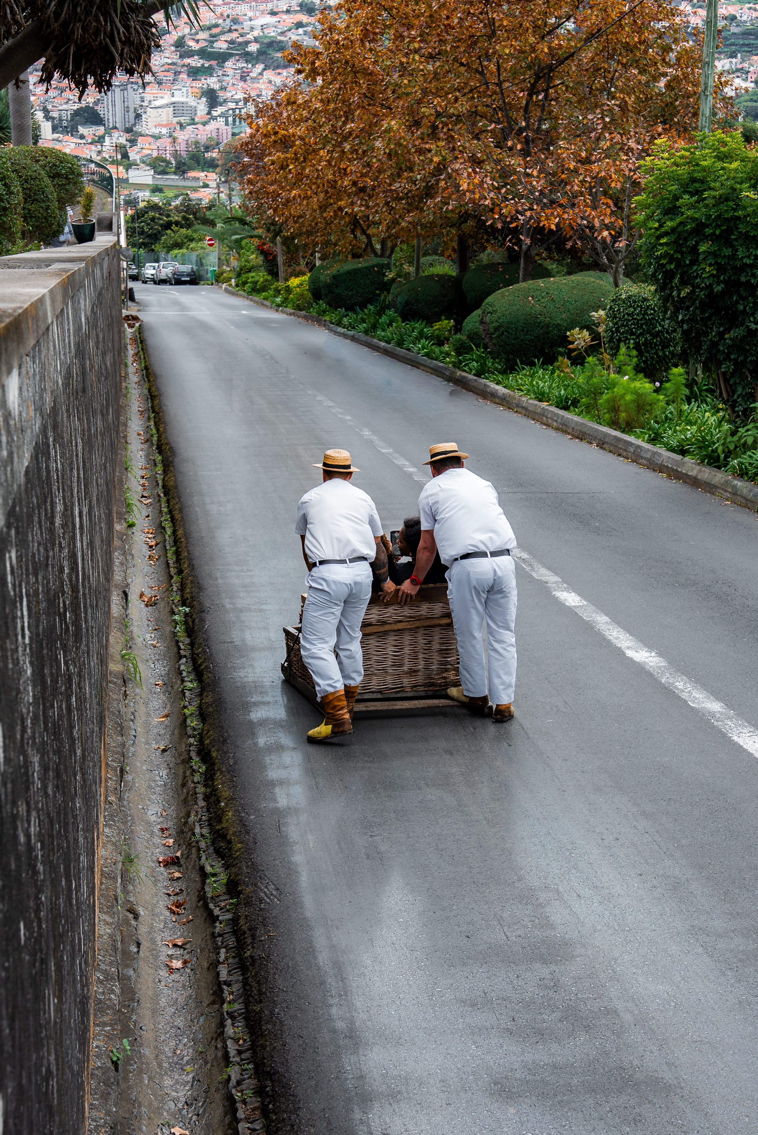 Funchal durante o outono