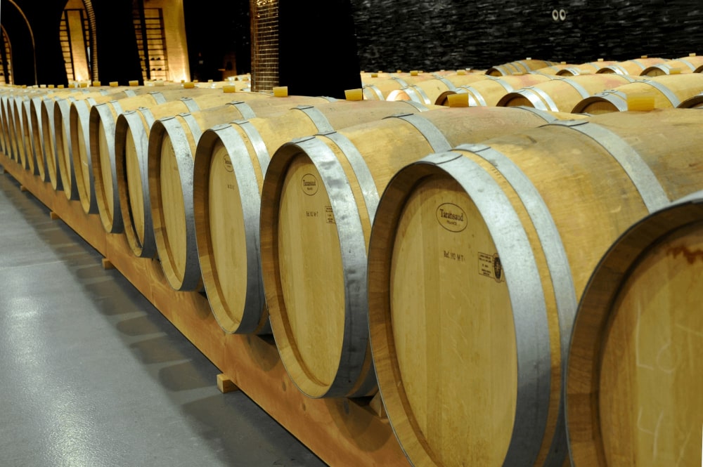 Porto Ver E Fazer Atividades