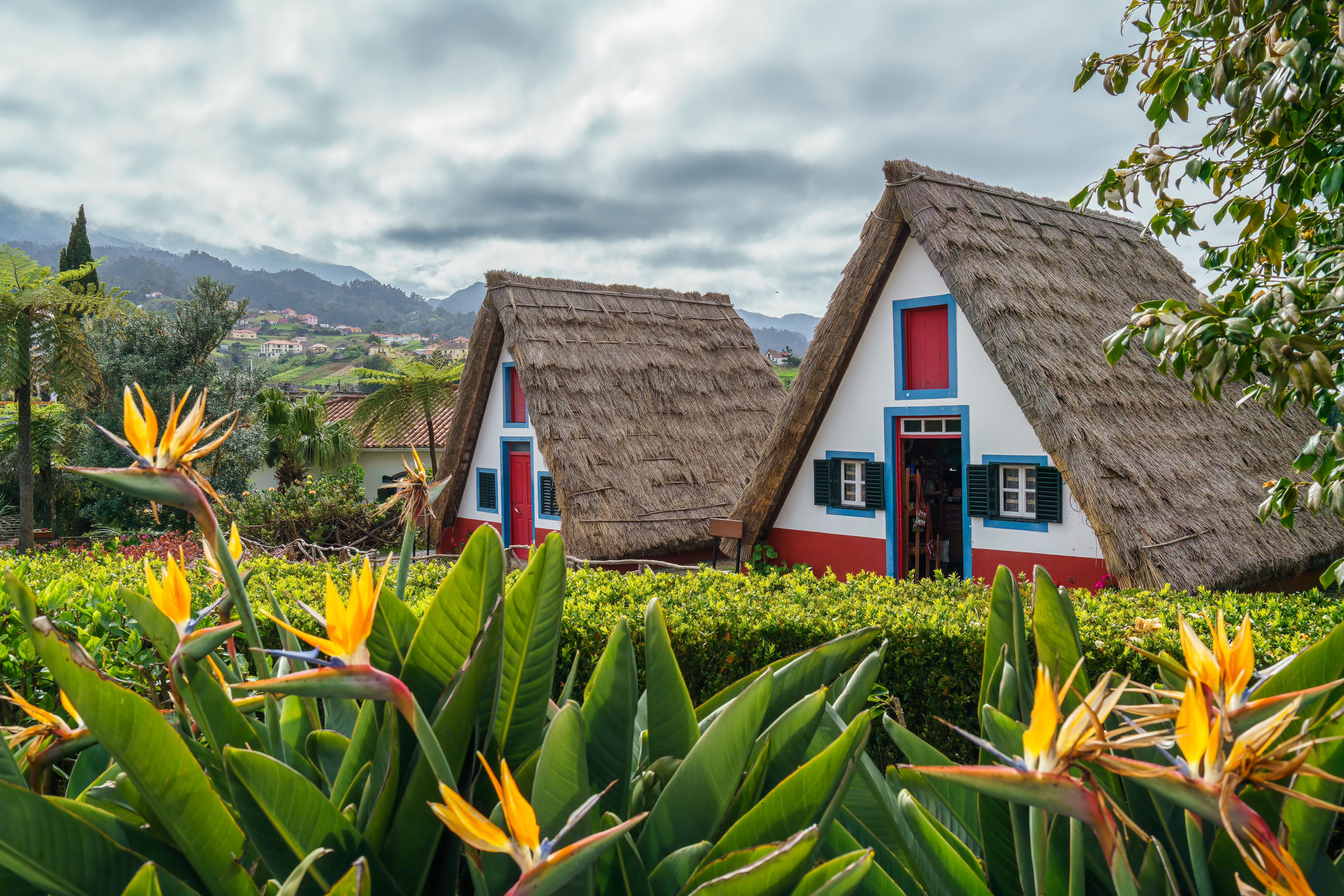 Shutterstock 2600499049