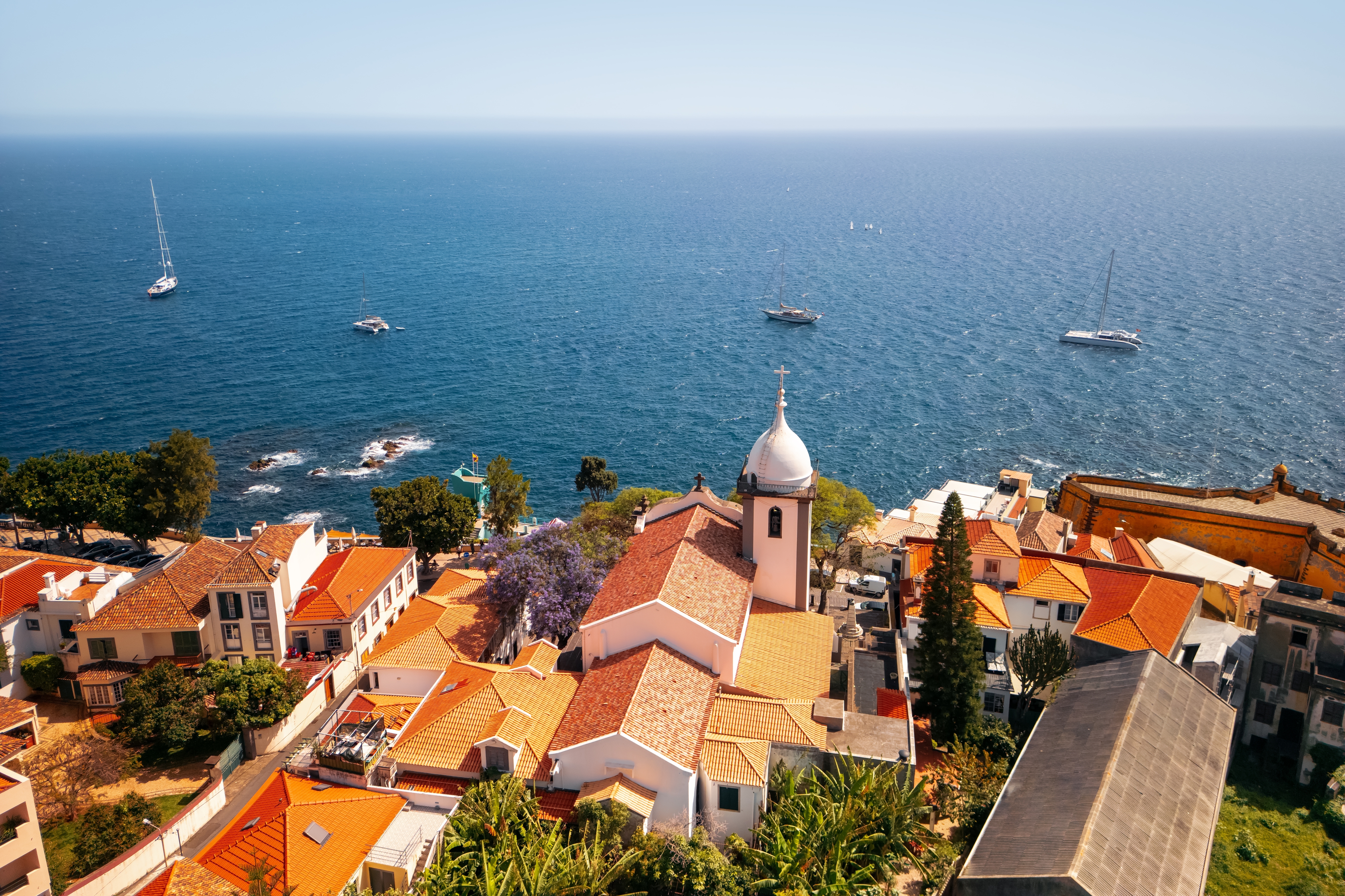 Shutterstock 2454667347