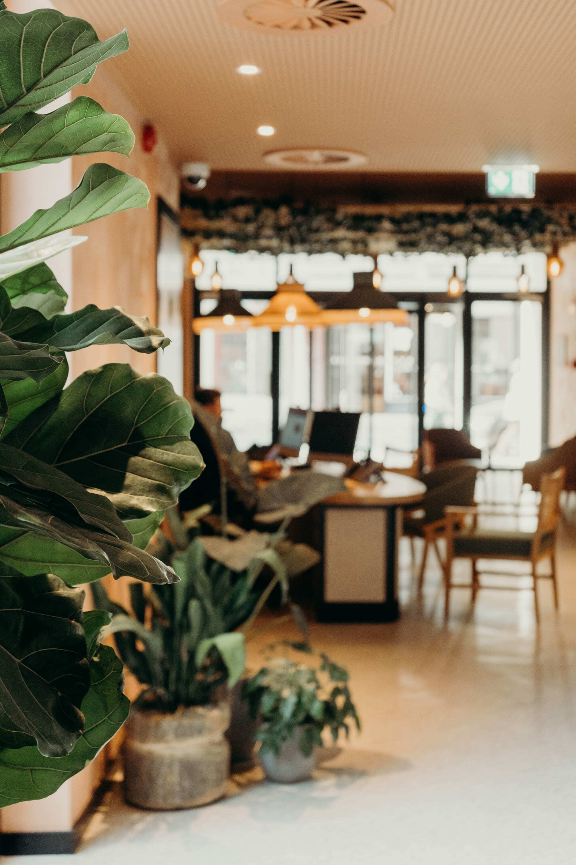 Editorygarden Details 138