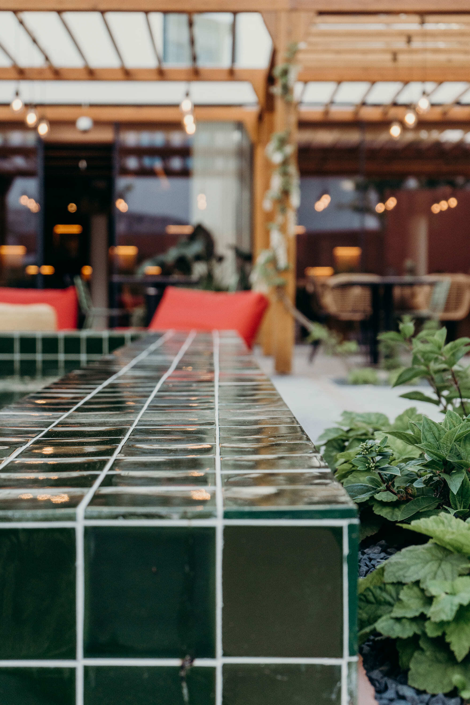 Editorygarden Details 168