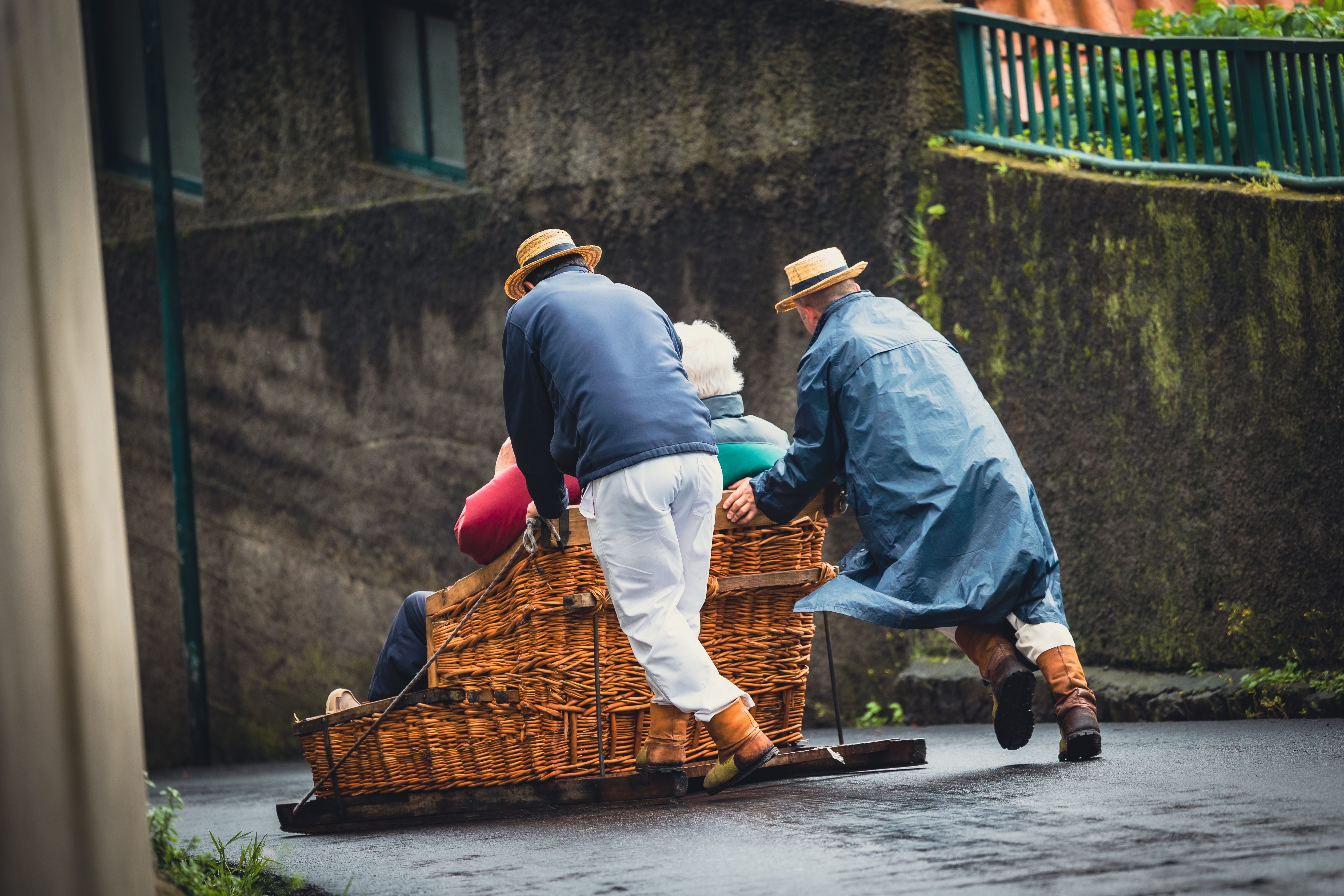 Funchal Carrinho Rolamentos (2)
