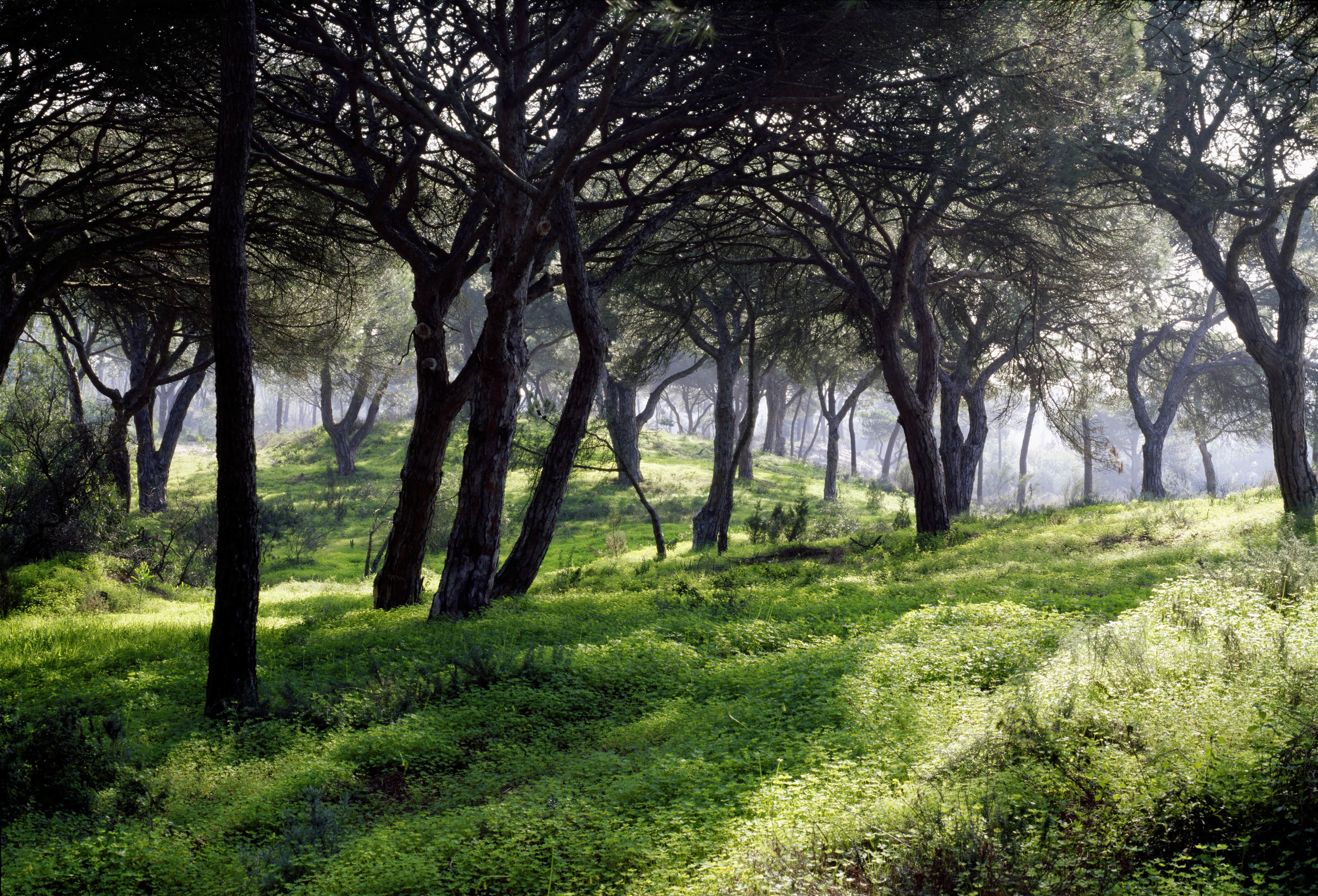 Patrimonio E Cultura GALERIA 10 Min