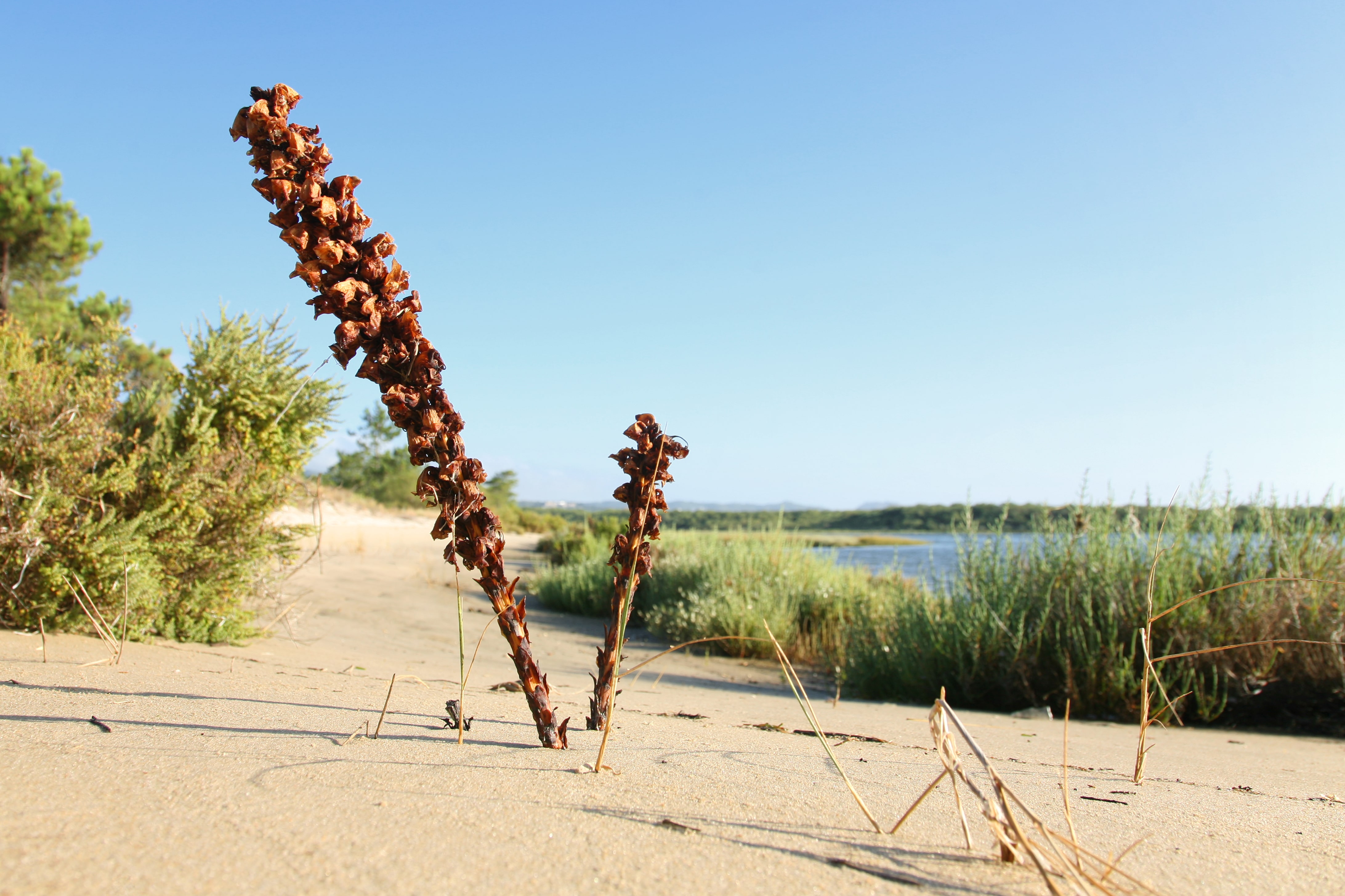 Patrimonio E Cultura GALERIA 3 Min