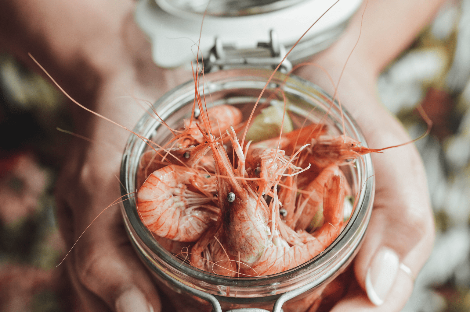 AQUALUZ TROIA LAGOA Restaurante Salicornia (2)