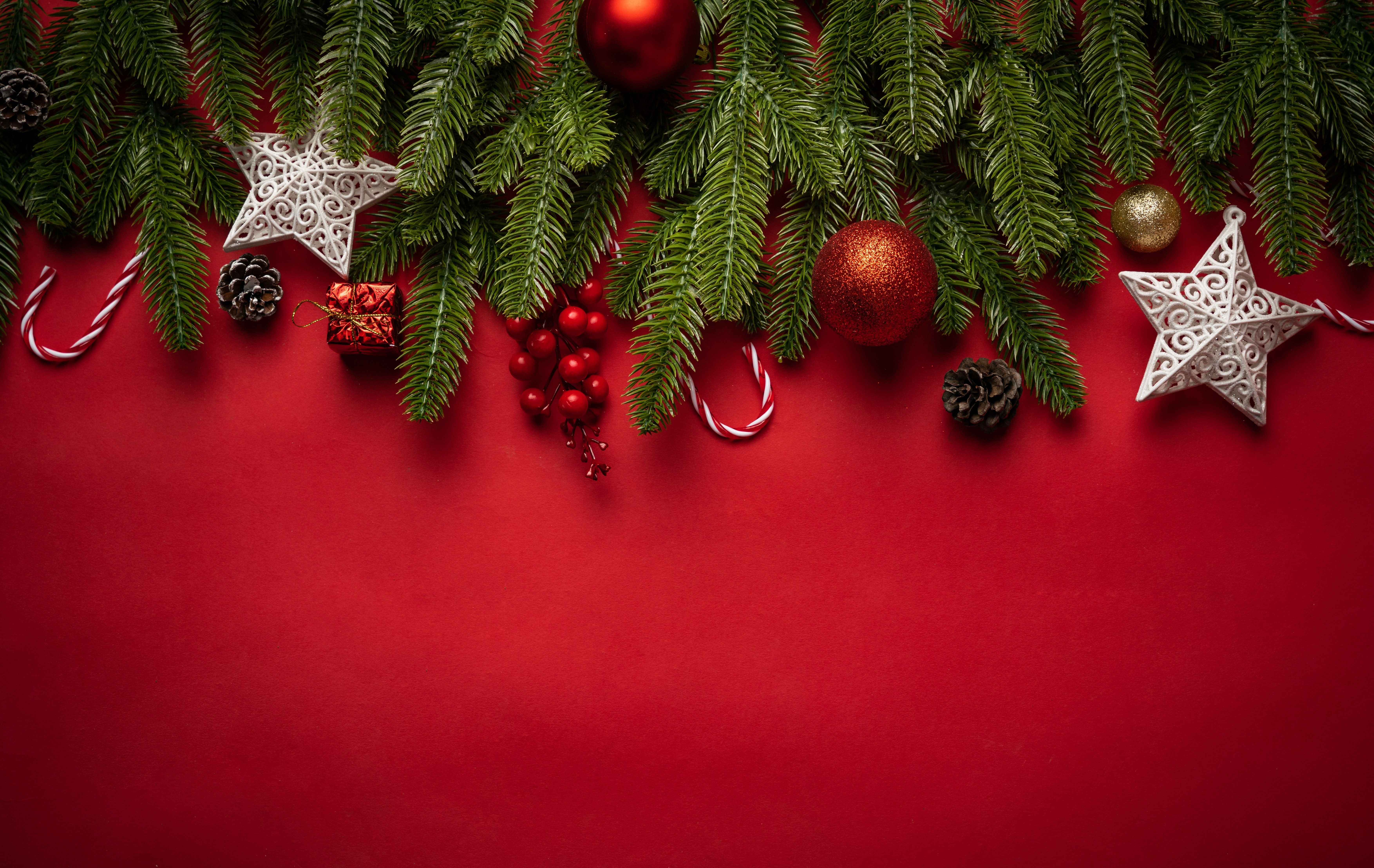 Shutterstock 2471525157.