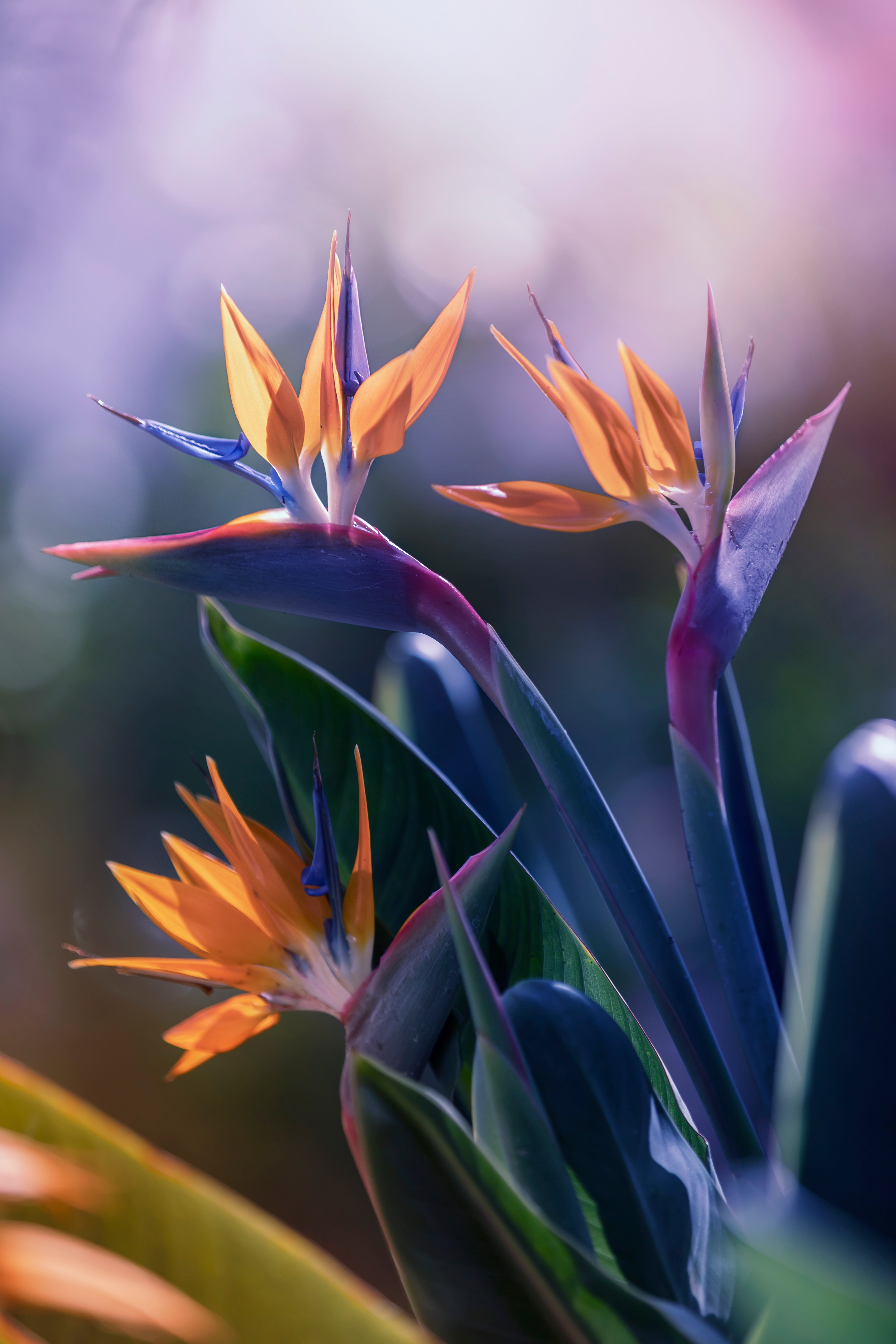 Shutterstock 2258662445