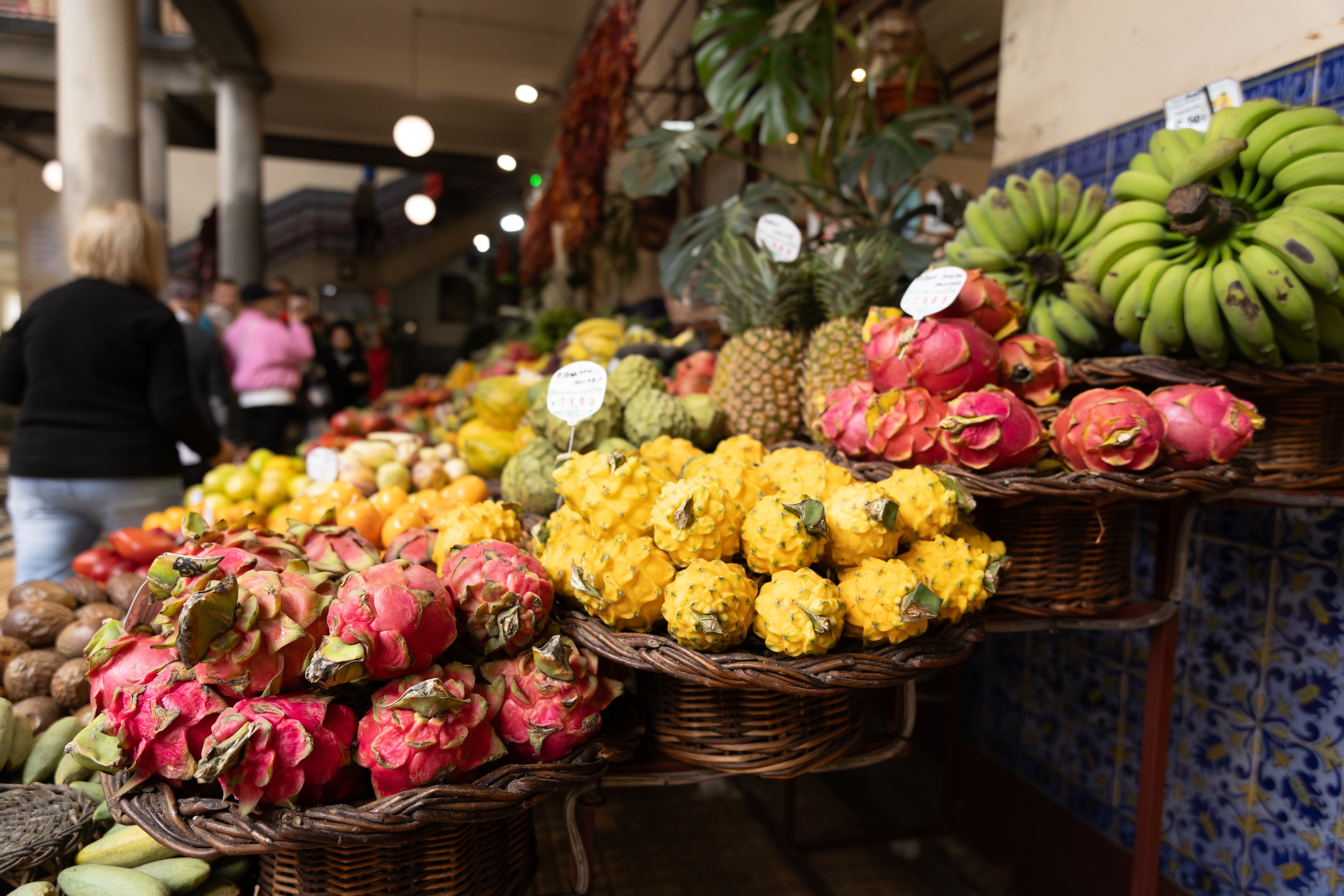 Shutterstock 2604488673