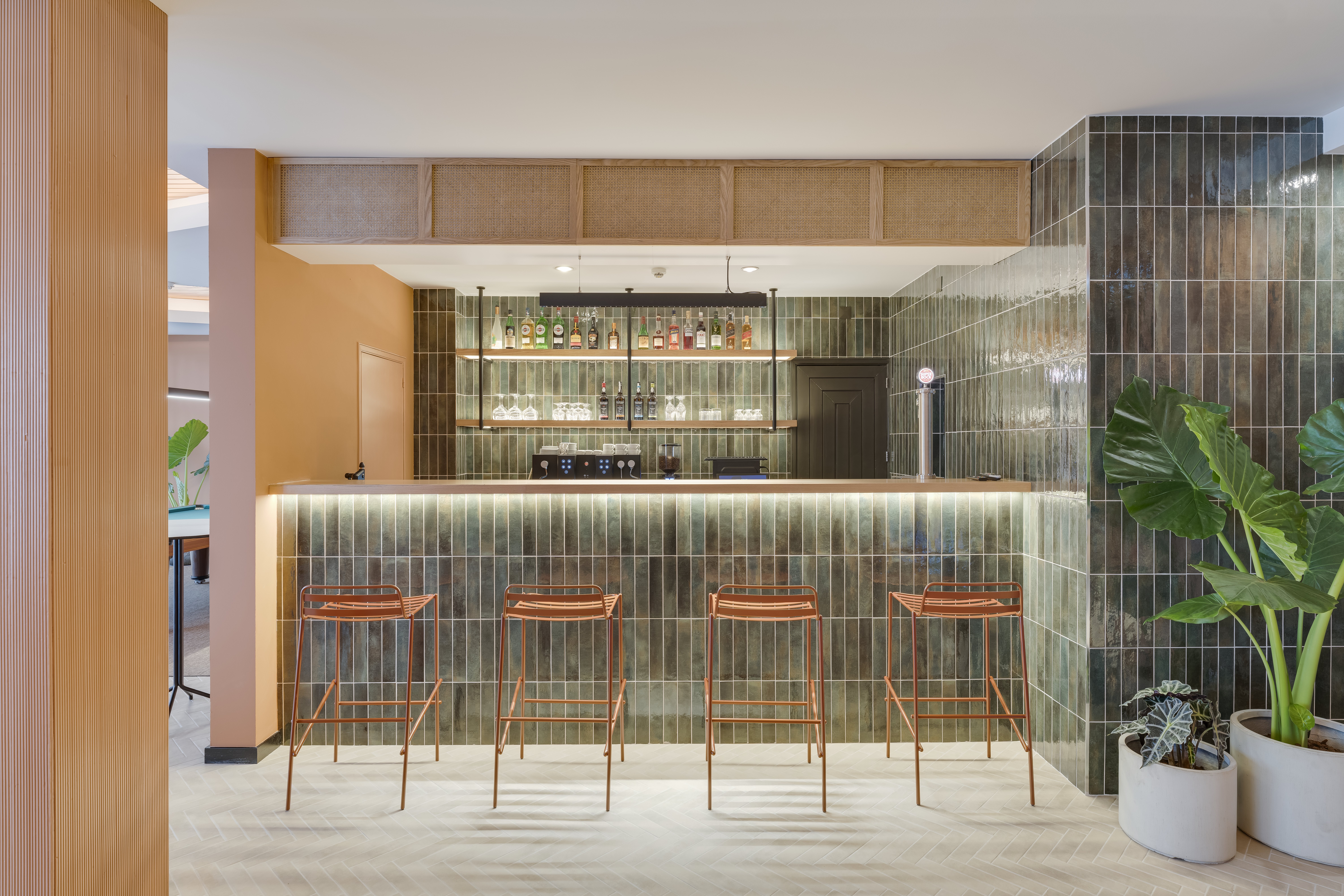 EDITORY GARDEN BAR 17122025 0146 1