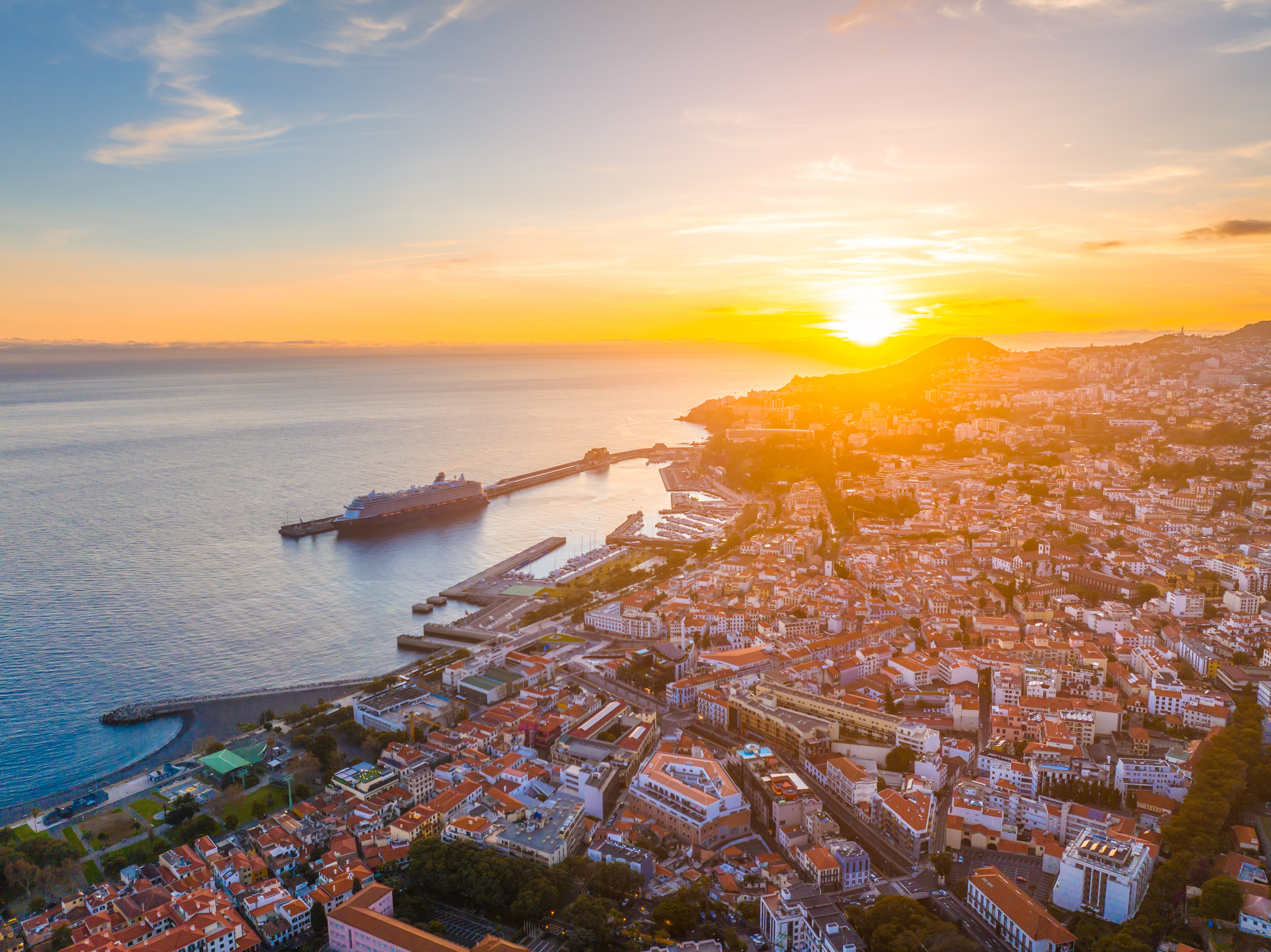 Shutterstock 2596411127