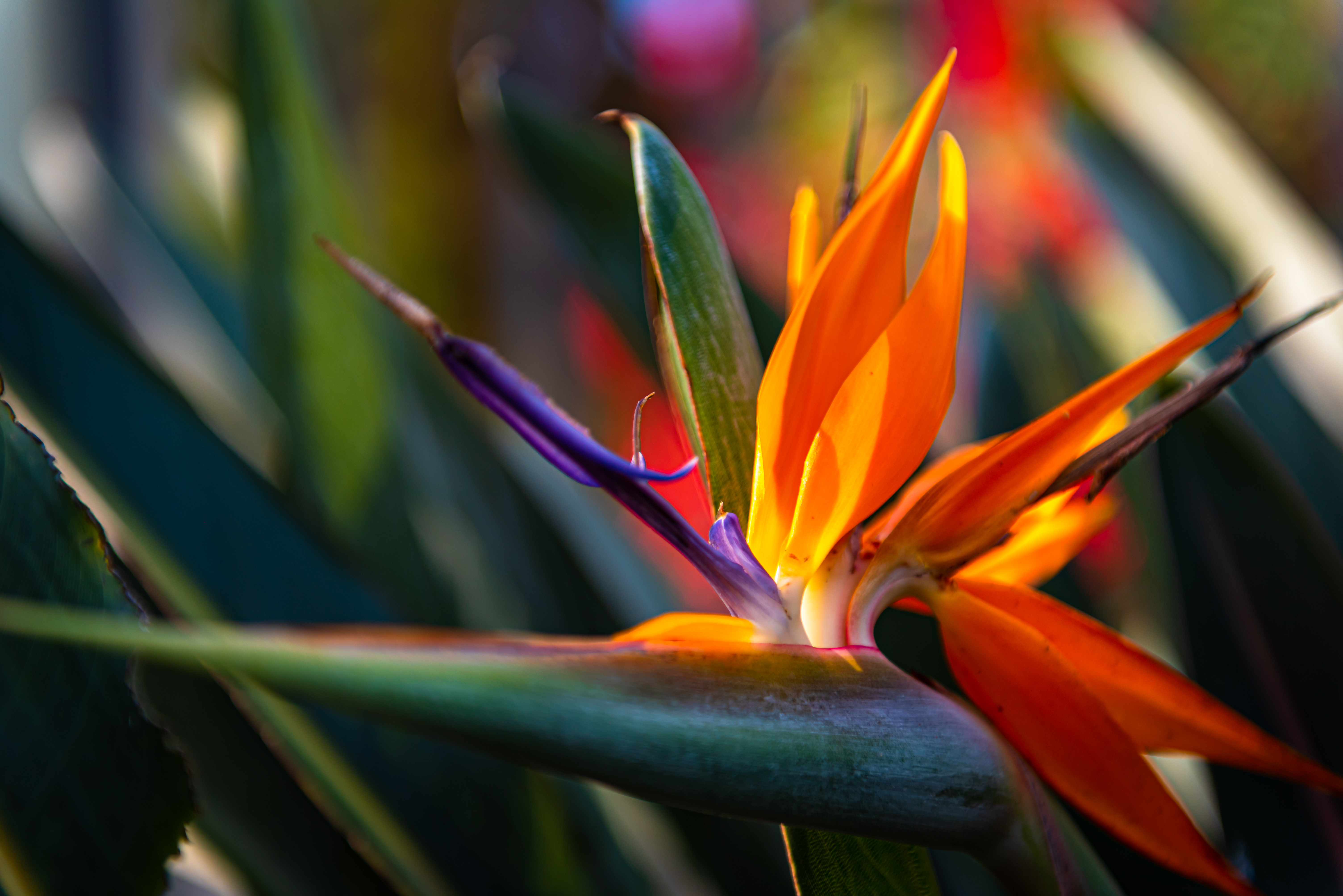 Shutterstock 1825621643