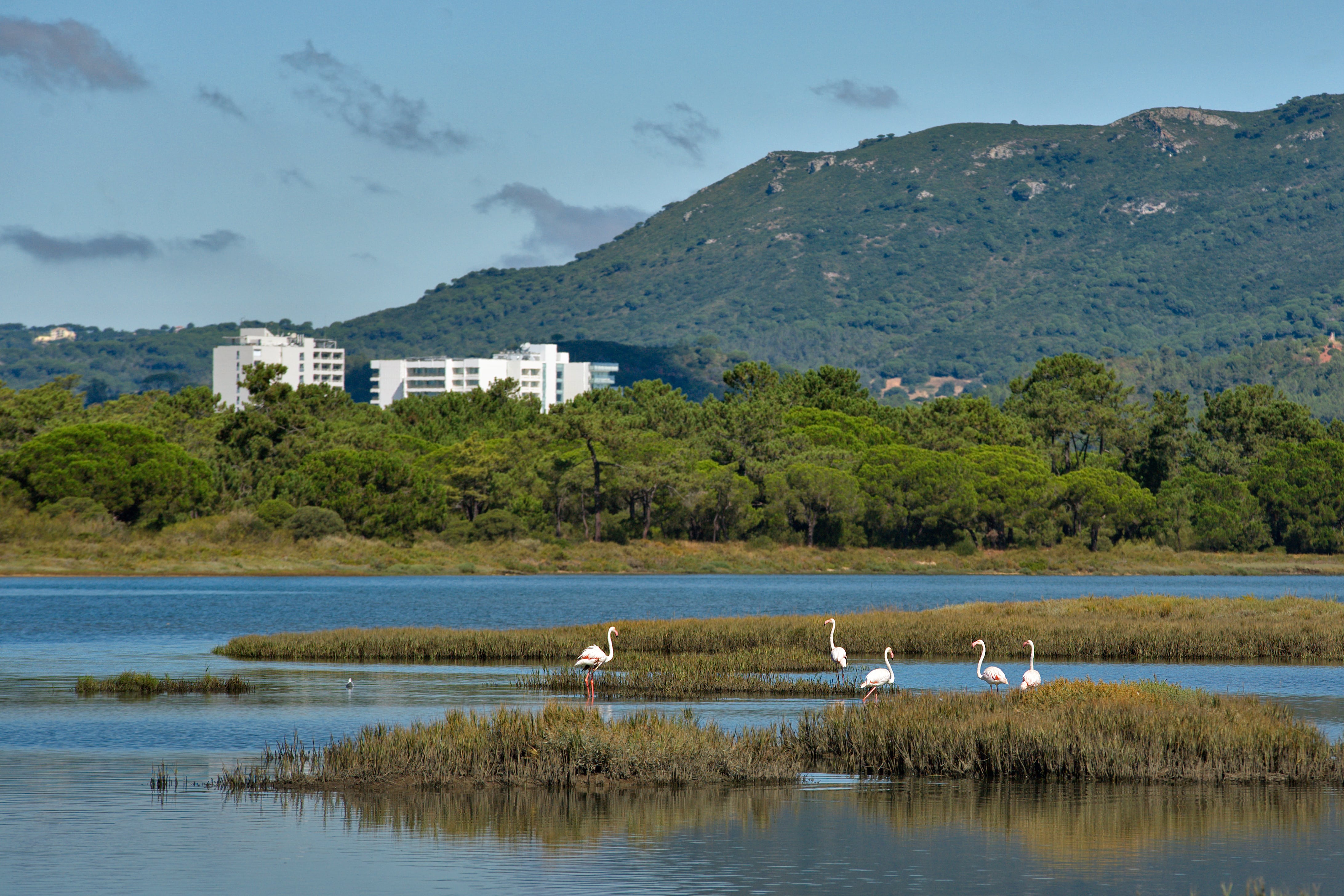 Patrimonio E Cultura GALERIA 1 Min