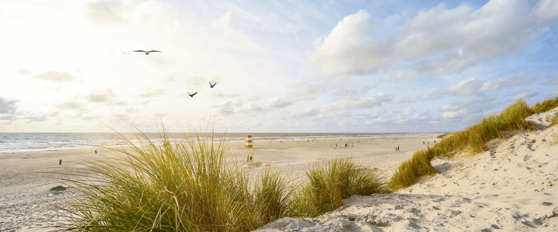 HOMEPAGE AQUALUZ TROIA MAR & RIO BANNER 3