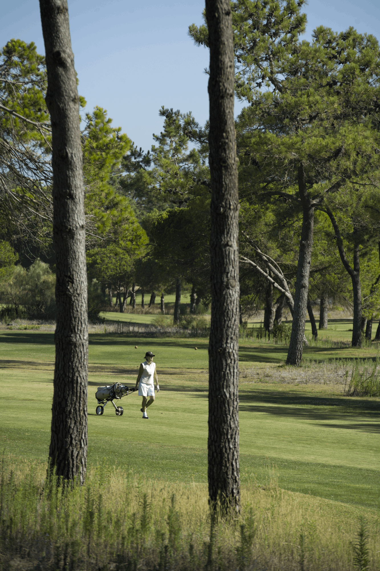 Troia Golf OFERTA Green Fees
