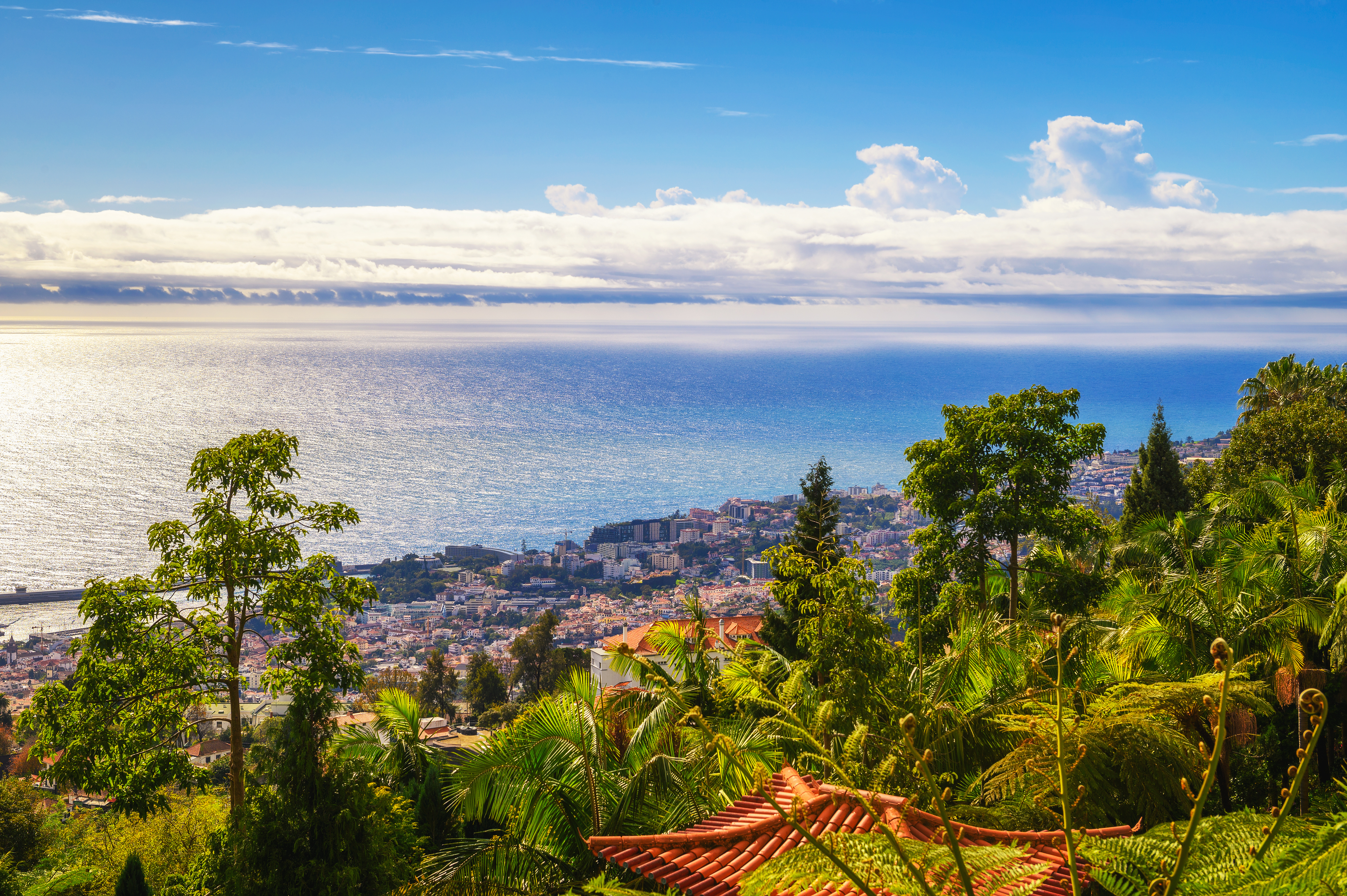 Shutterstock 1987433792