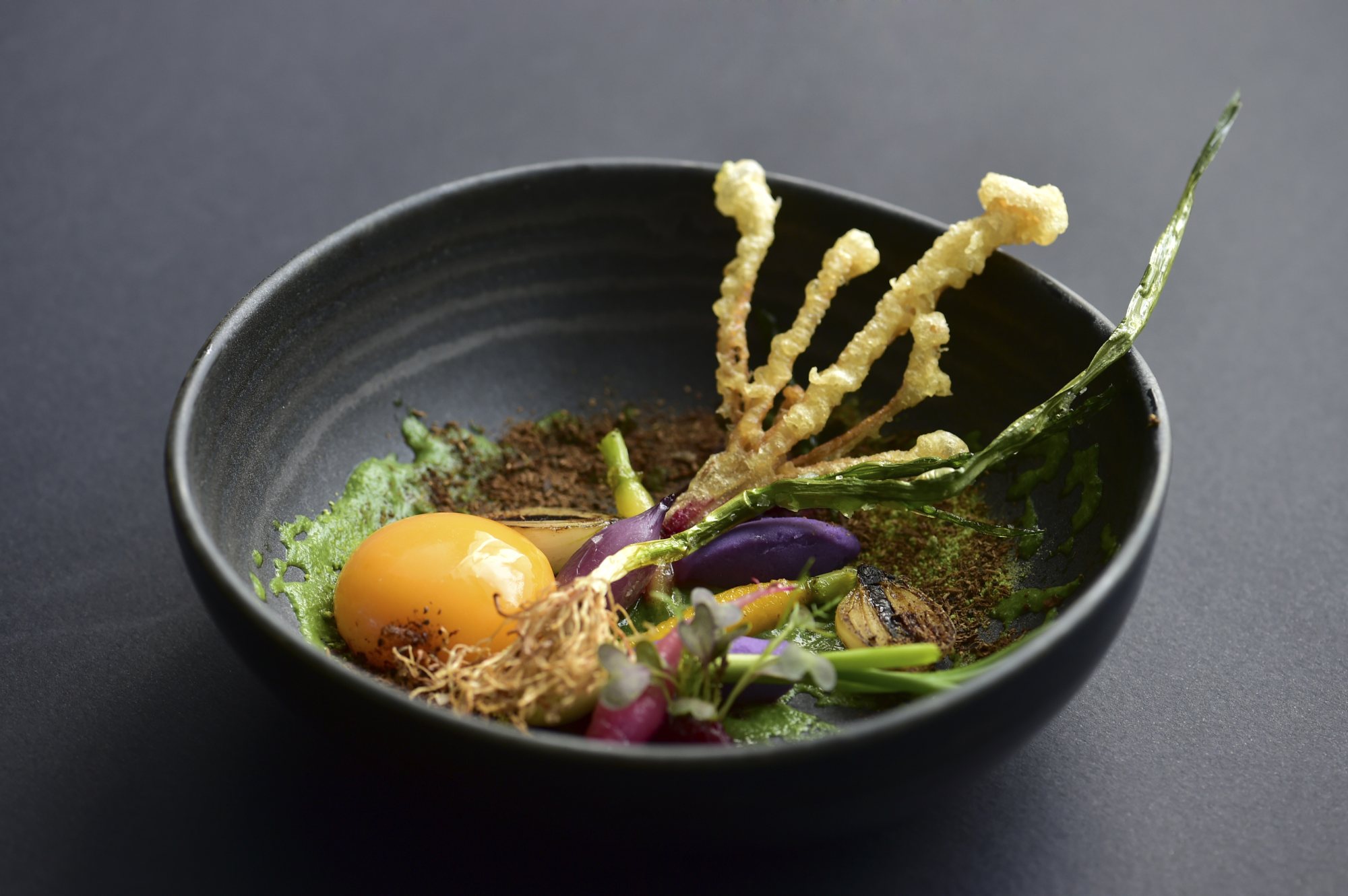 GASTRONOMIA GERAL BANNER