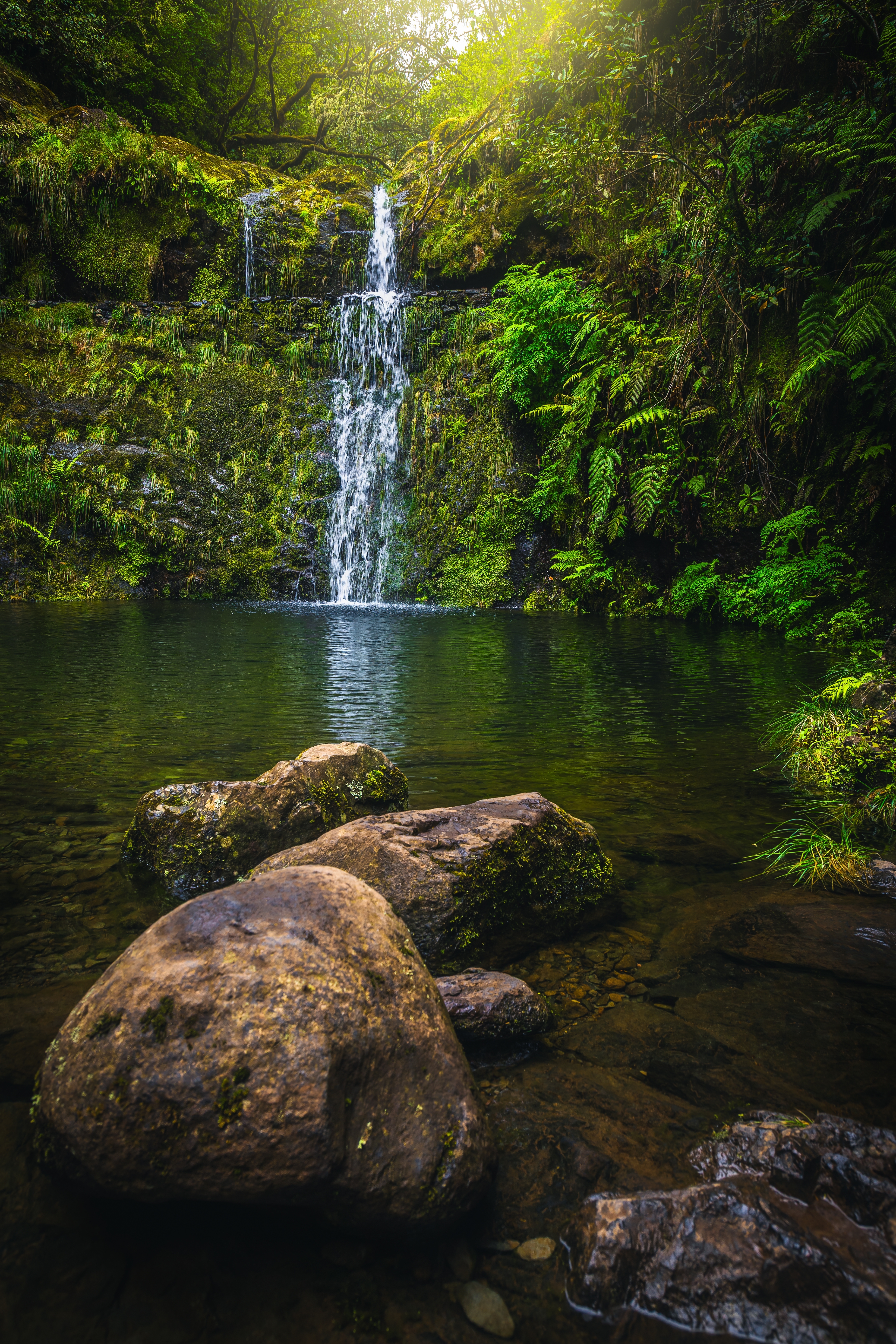 Shutterstock 2724754825