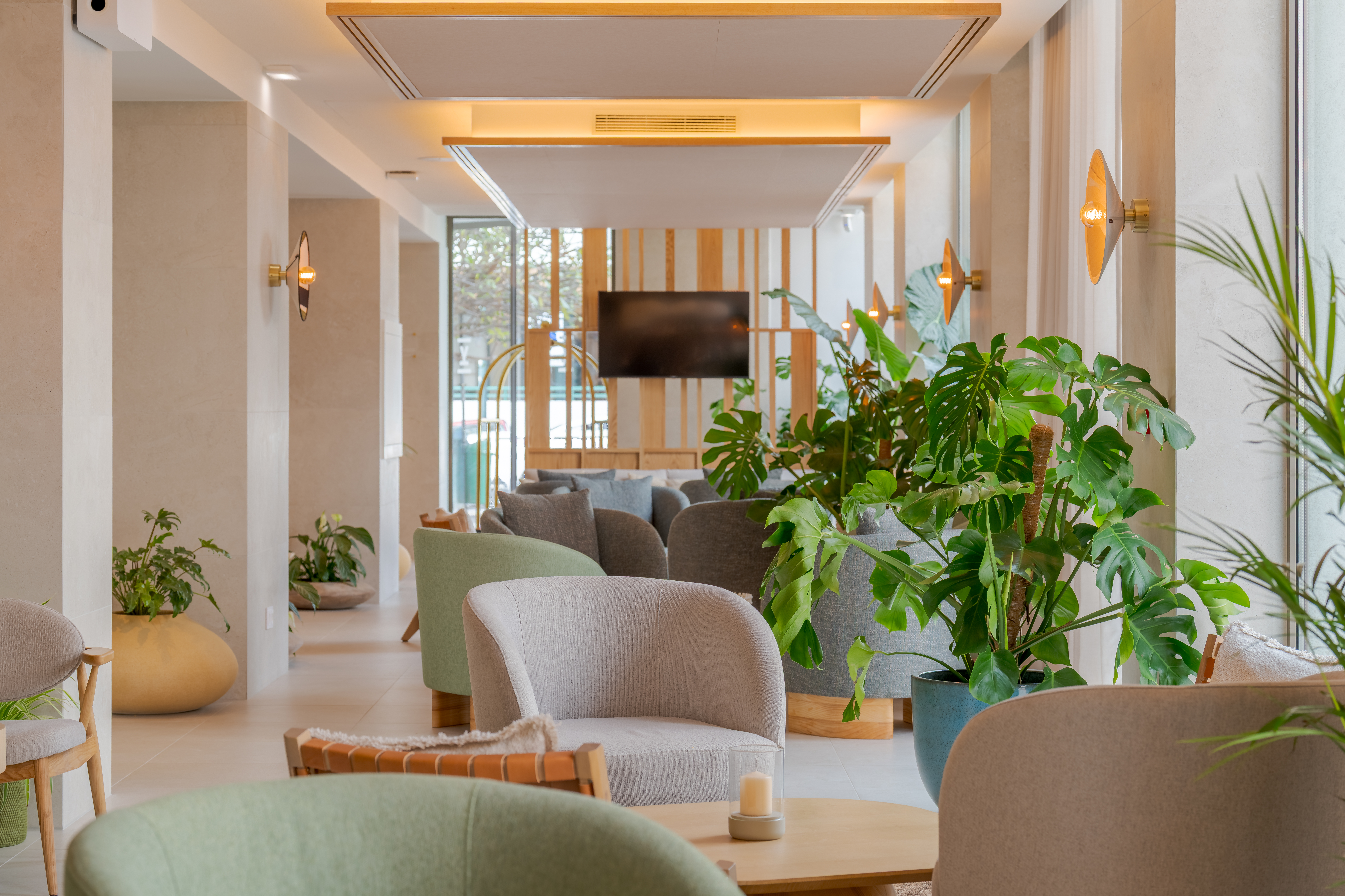 EDITORY OCEAN WAY FUNCHAL 04032026 0145