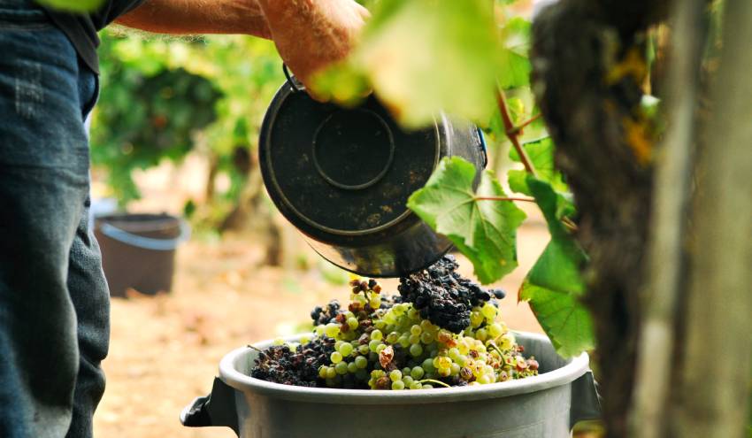 Foto_homepage SUSTENTABILIDADE