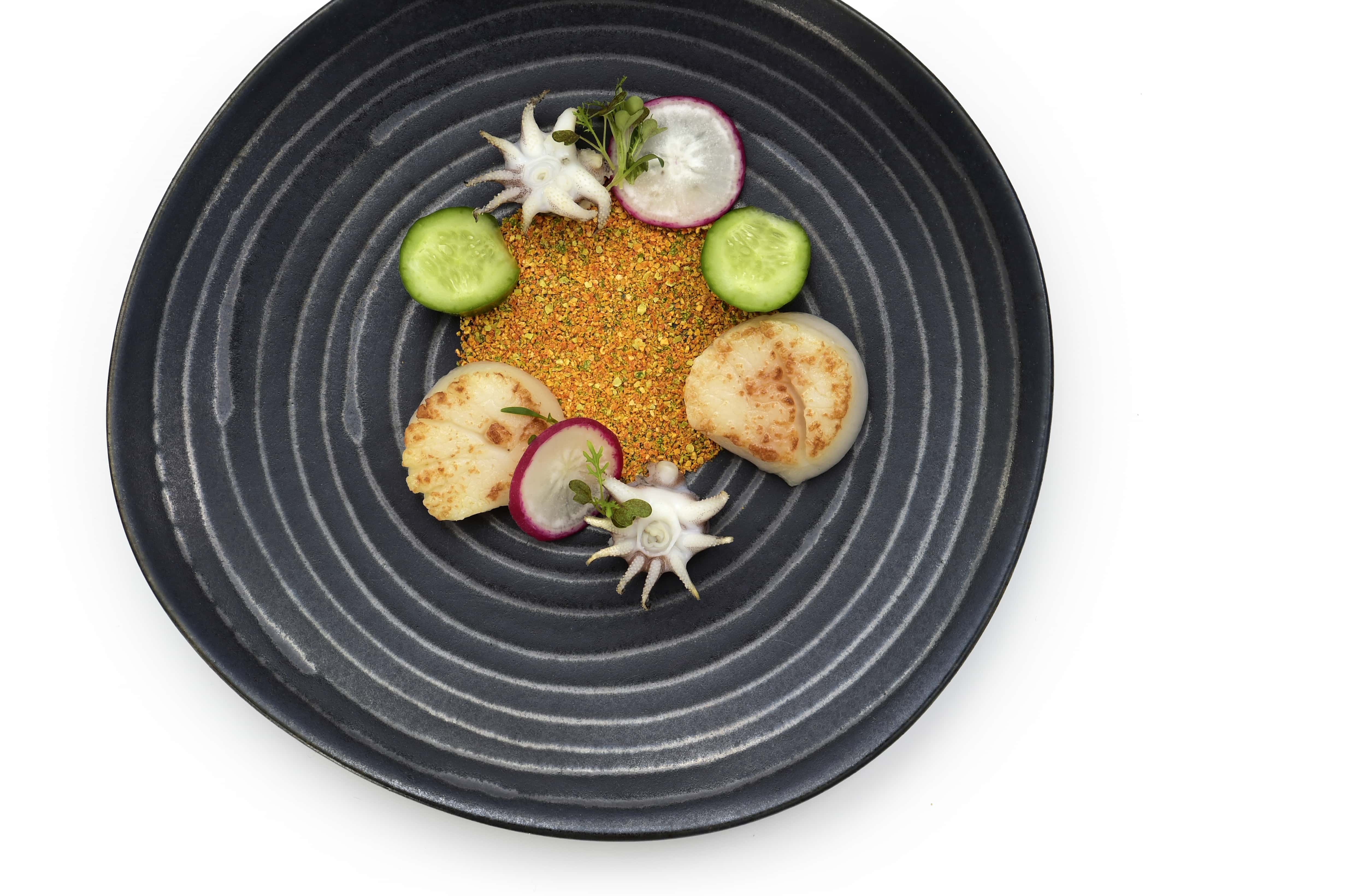 Theartistporto Aescola Pratos (52) Min