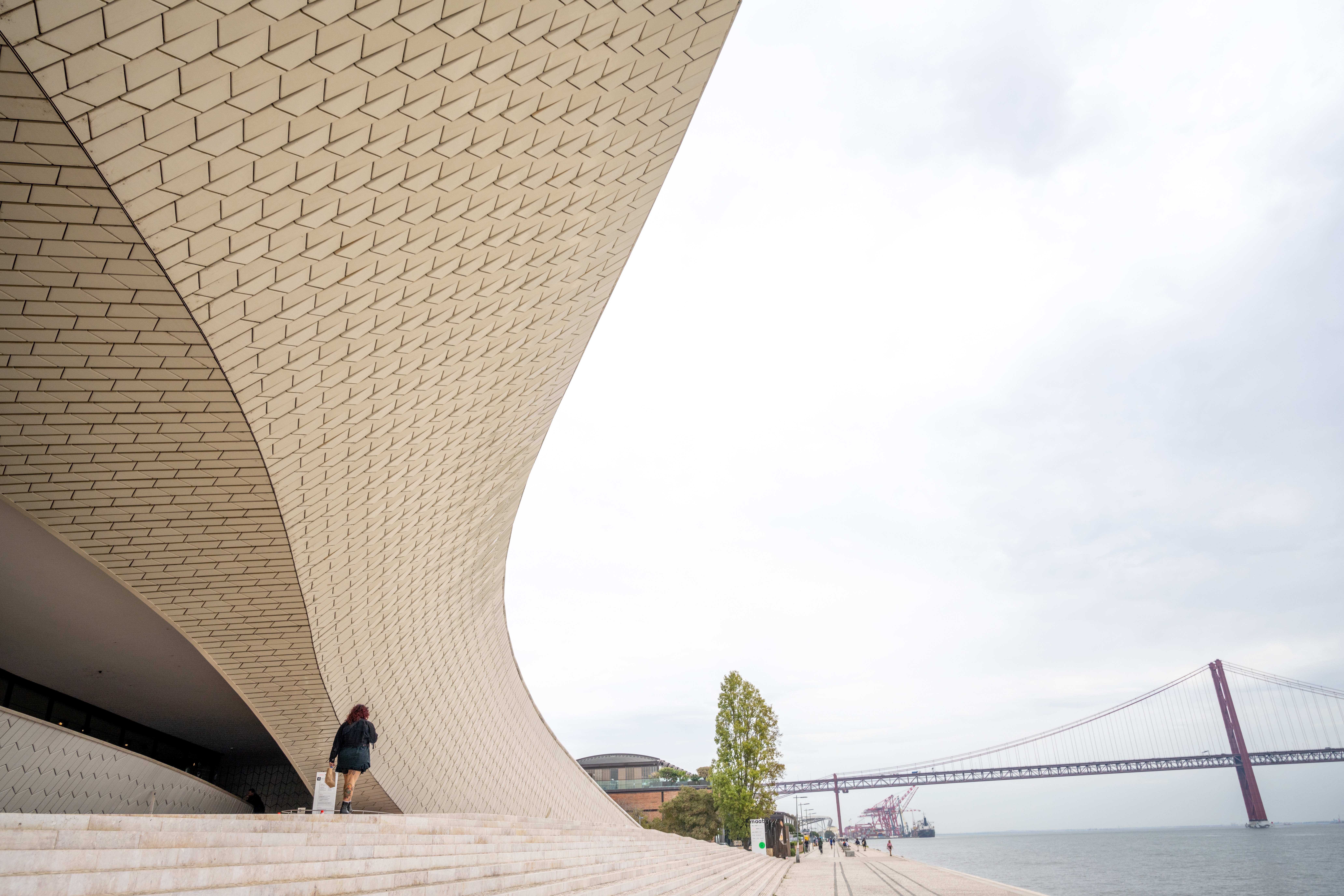 Shutterstock 2701499815