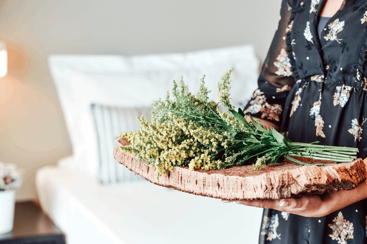 OVERVIEW AQUALUZ TROIA MAR & RIO BANNER 2