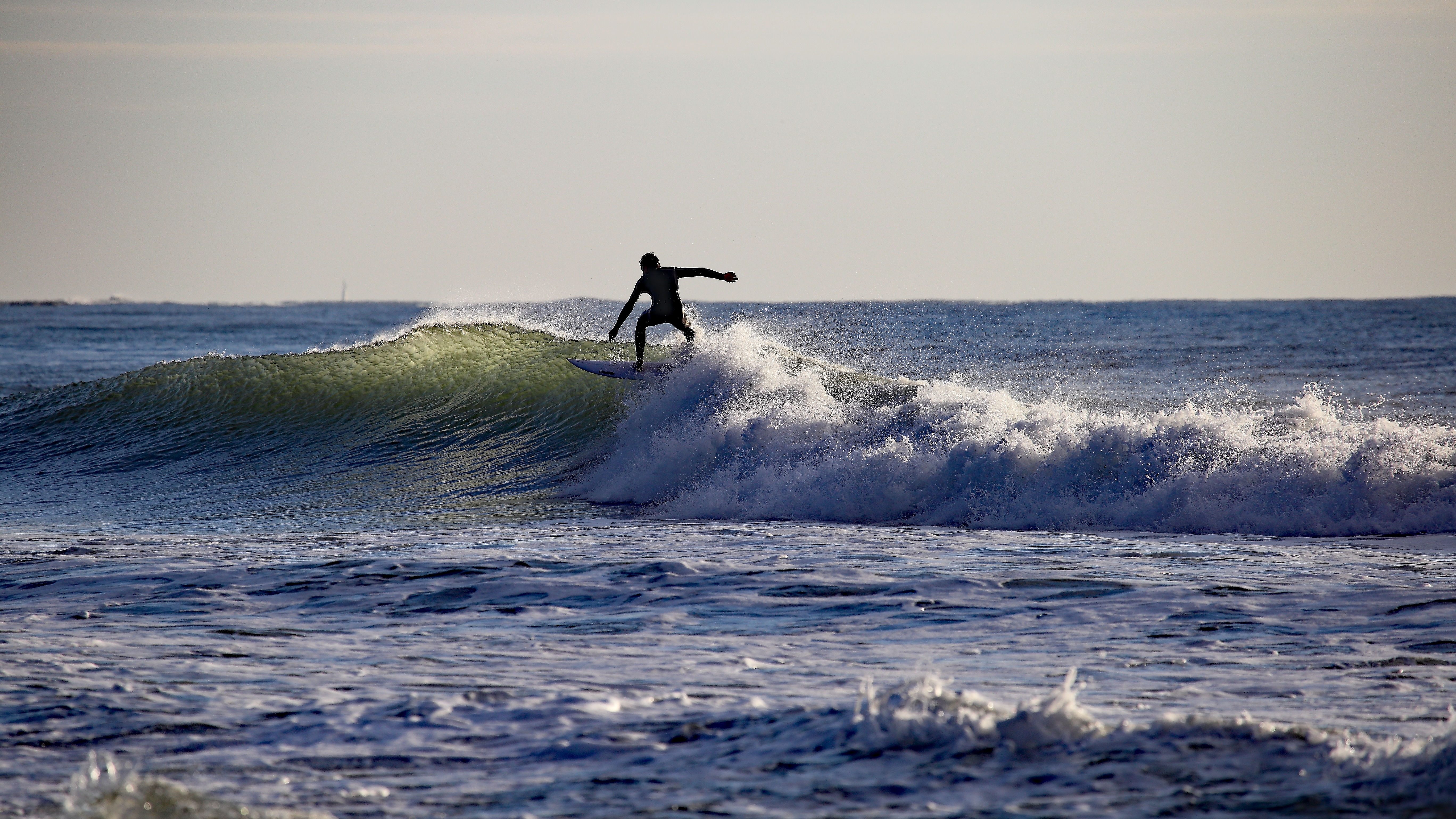 Shutterstock 2545869237