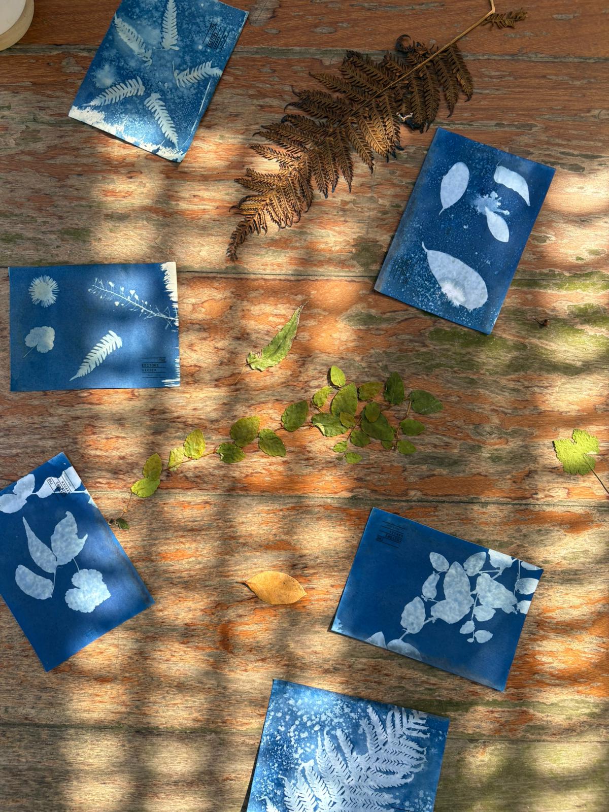 Whatsapp Image 2025 05 26 At 10.46.39 (1)