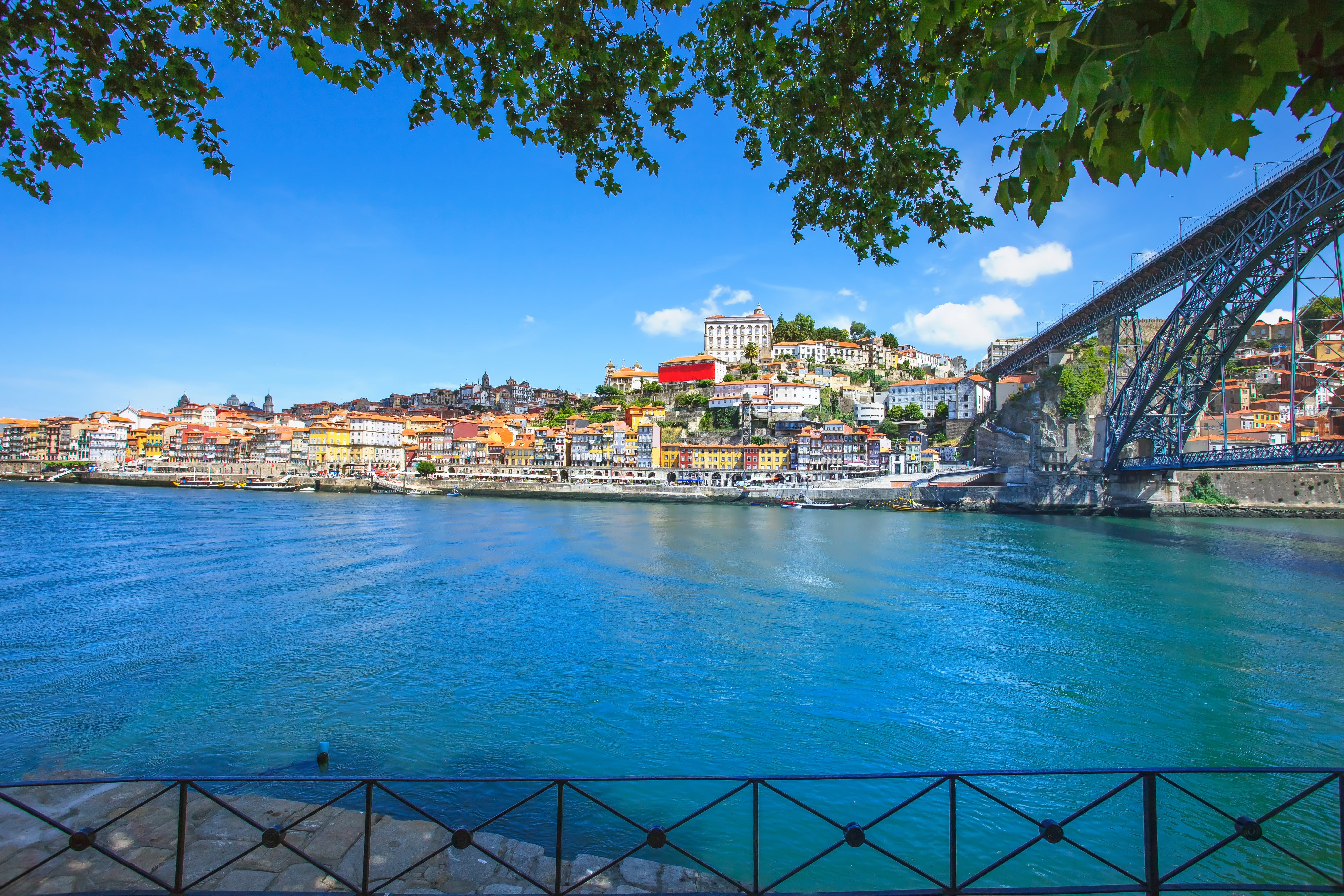 Shutterstock 132707981