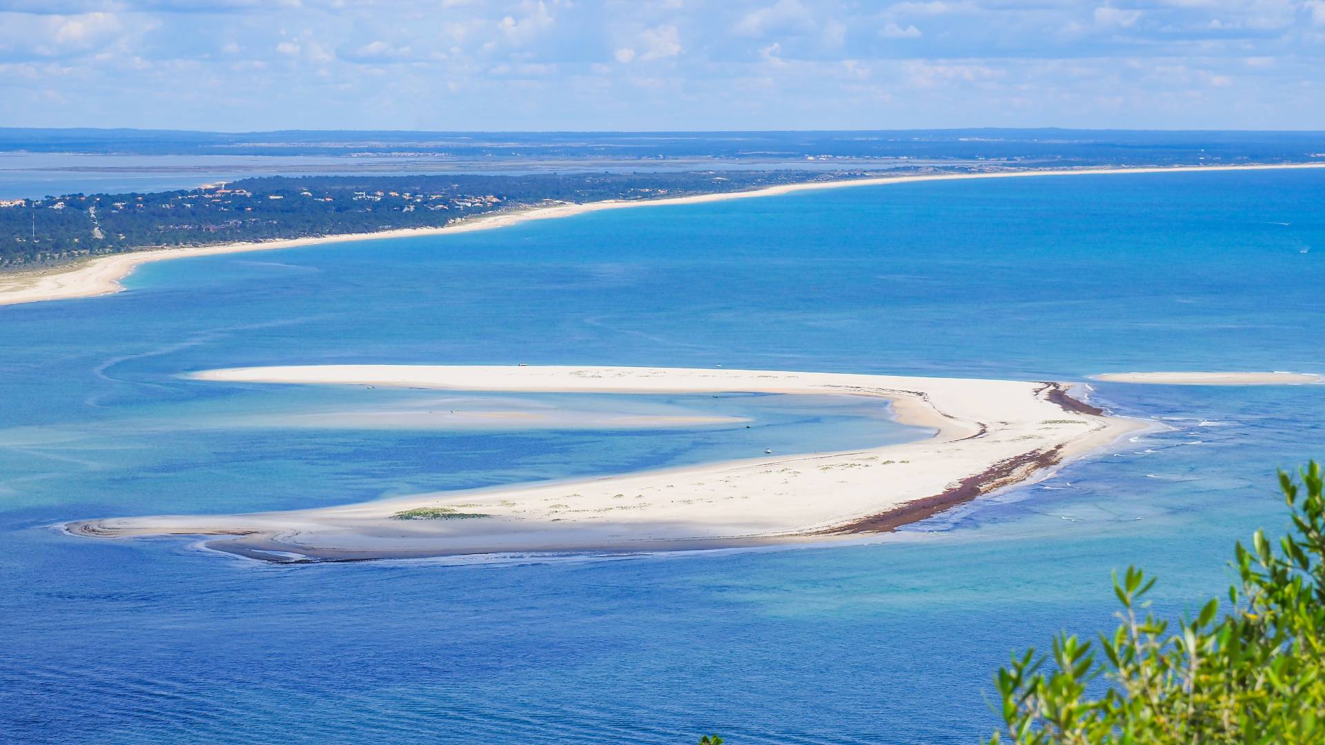 Foto Site SUSTENTABILIDADE NATUREZA E BIO