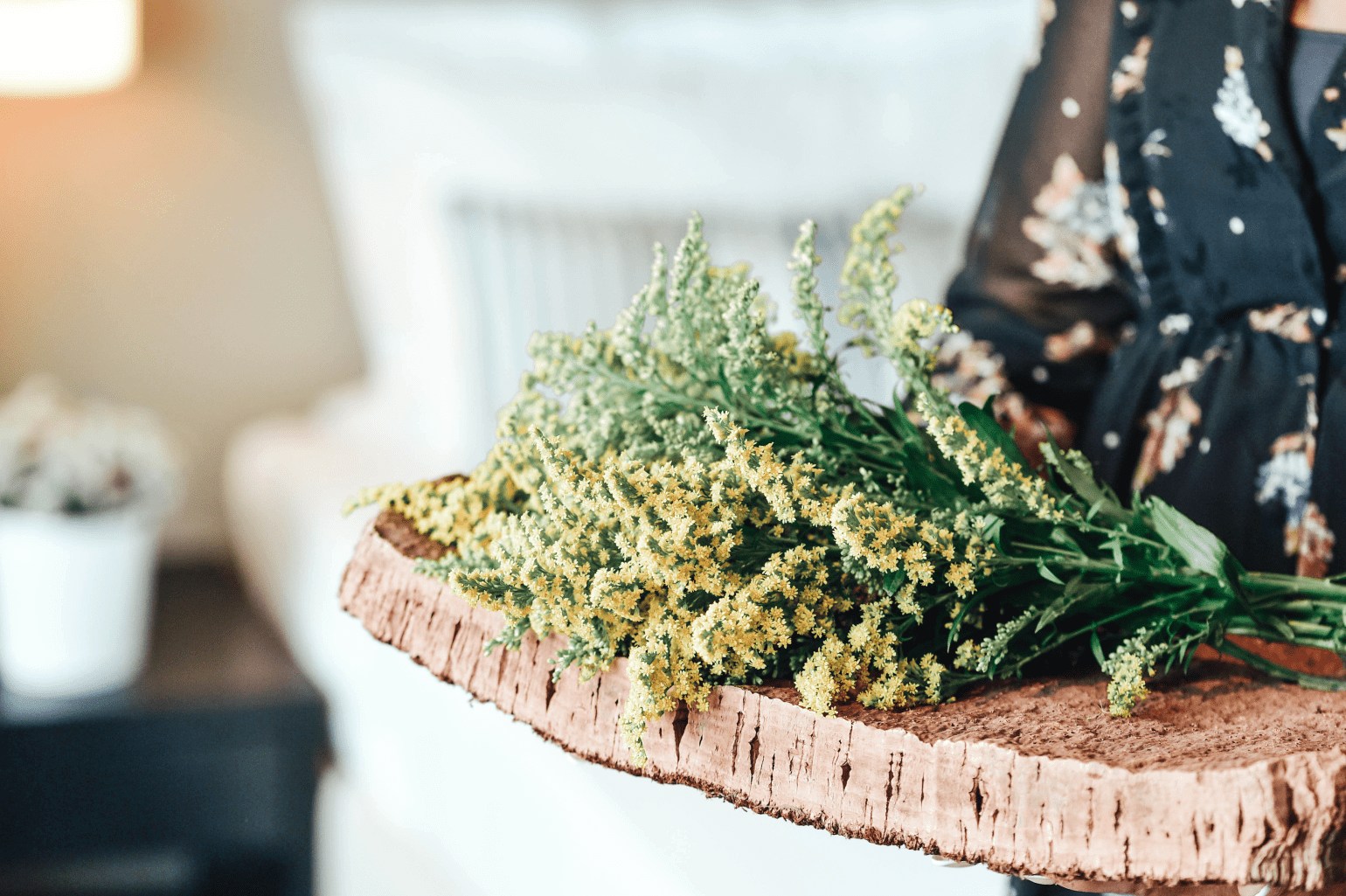 Aqualuz Troia Lagoa Suite T1 (6)