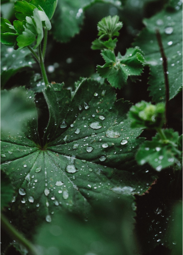 Shutterstock 719686033