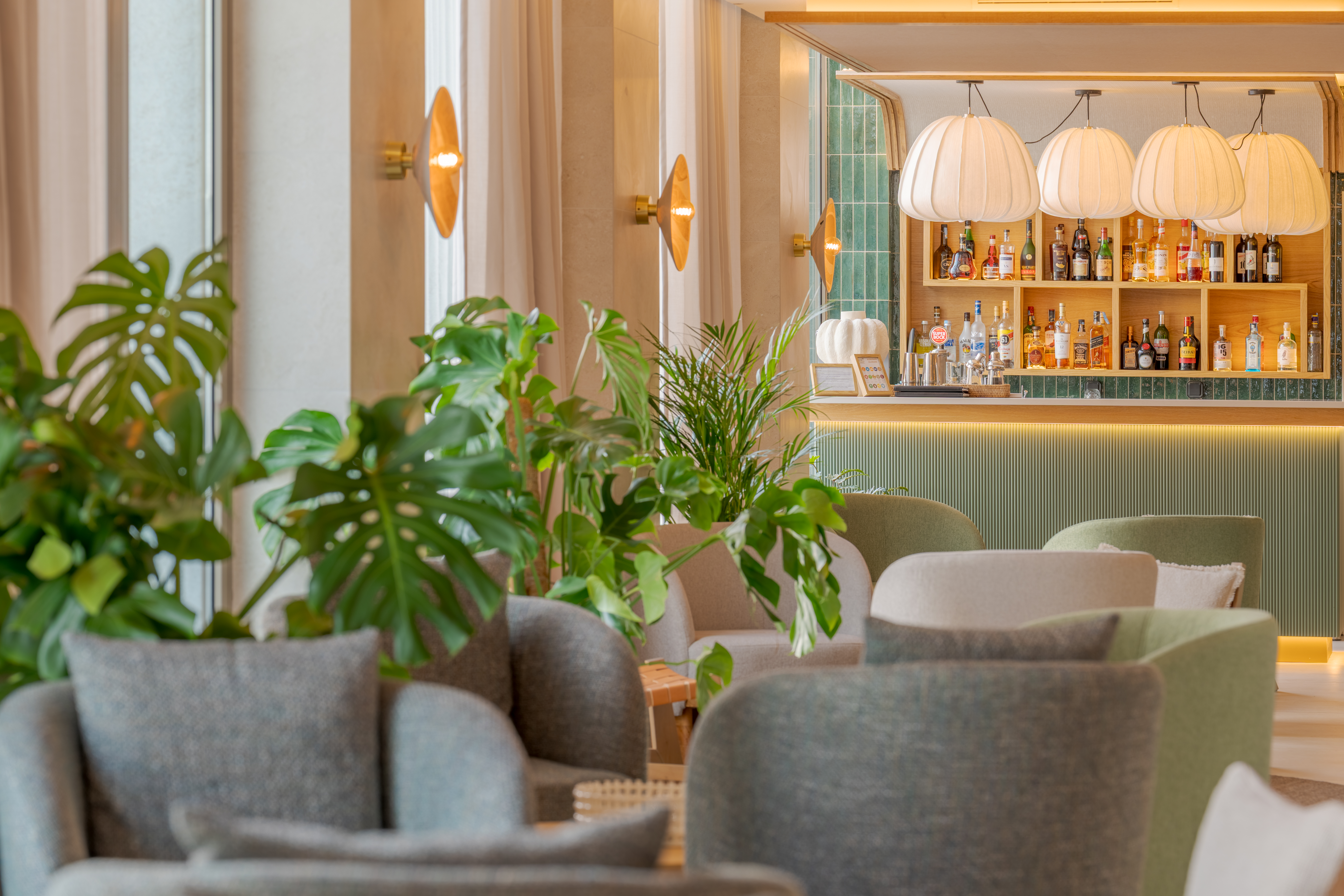 EDITORY OCEAN WAY FUNCHAL 04032026 0137