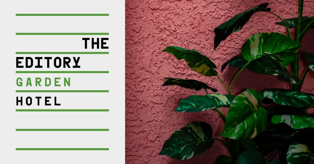 Mother’s Day at Clorela | Special Lunch in Porto