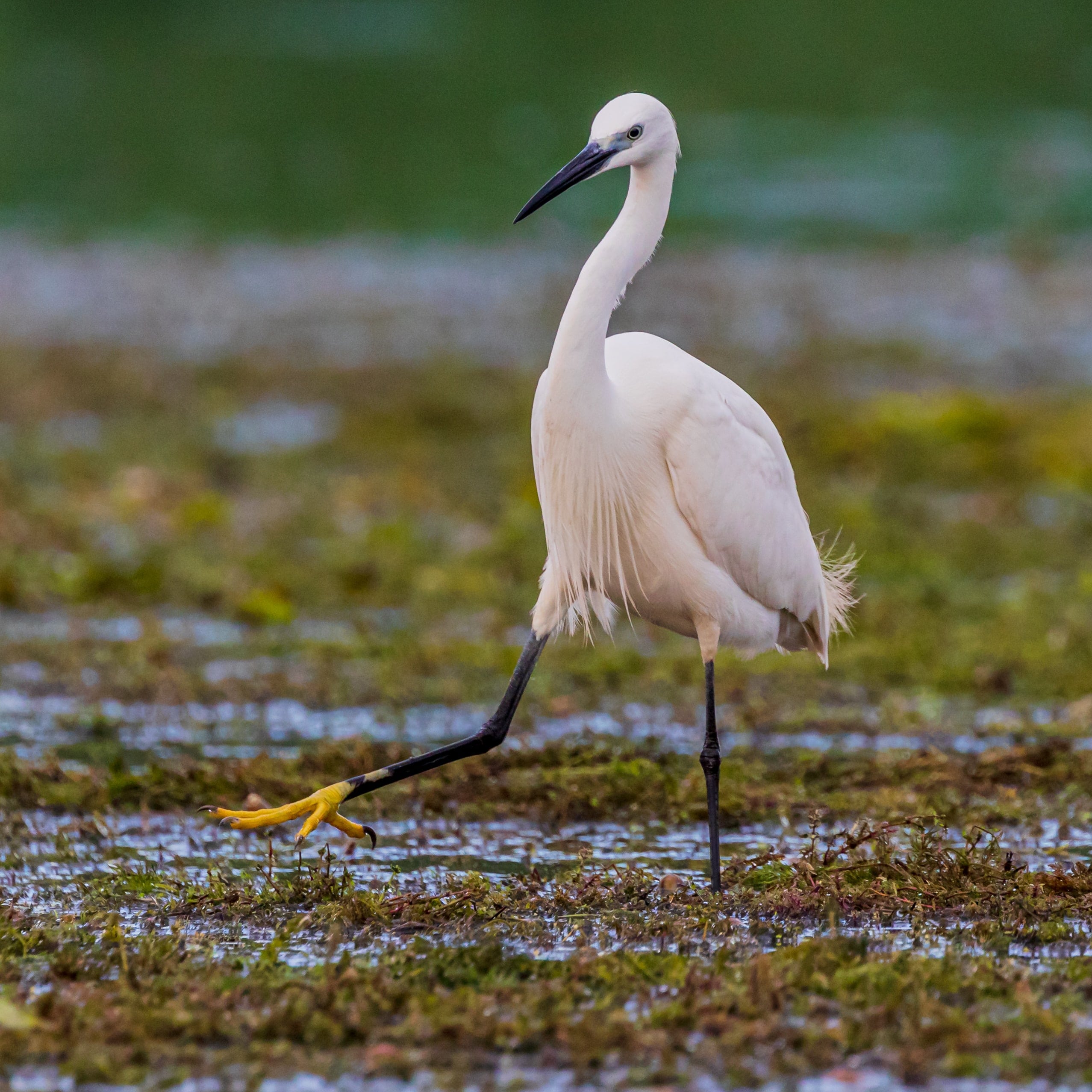 Destino Troia P. CULTURA BIODIVERSIDADE CALDEIRA Min
