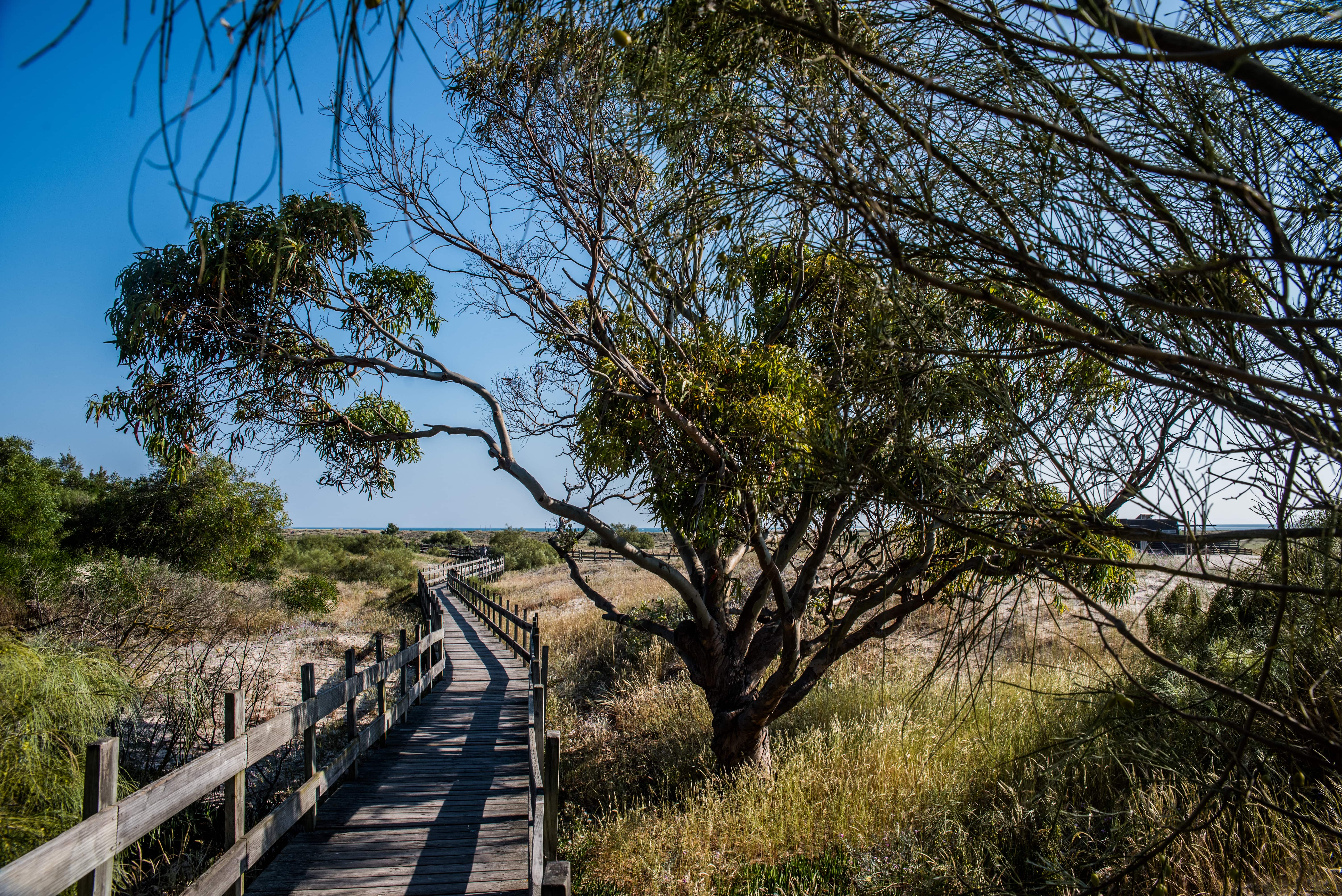 Destino Troia P. CULTURA BANNER 2 Min