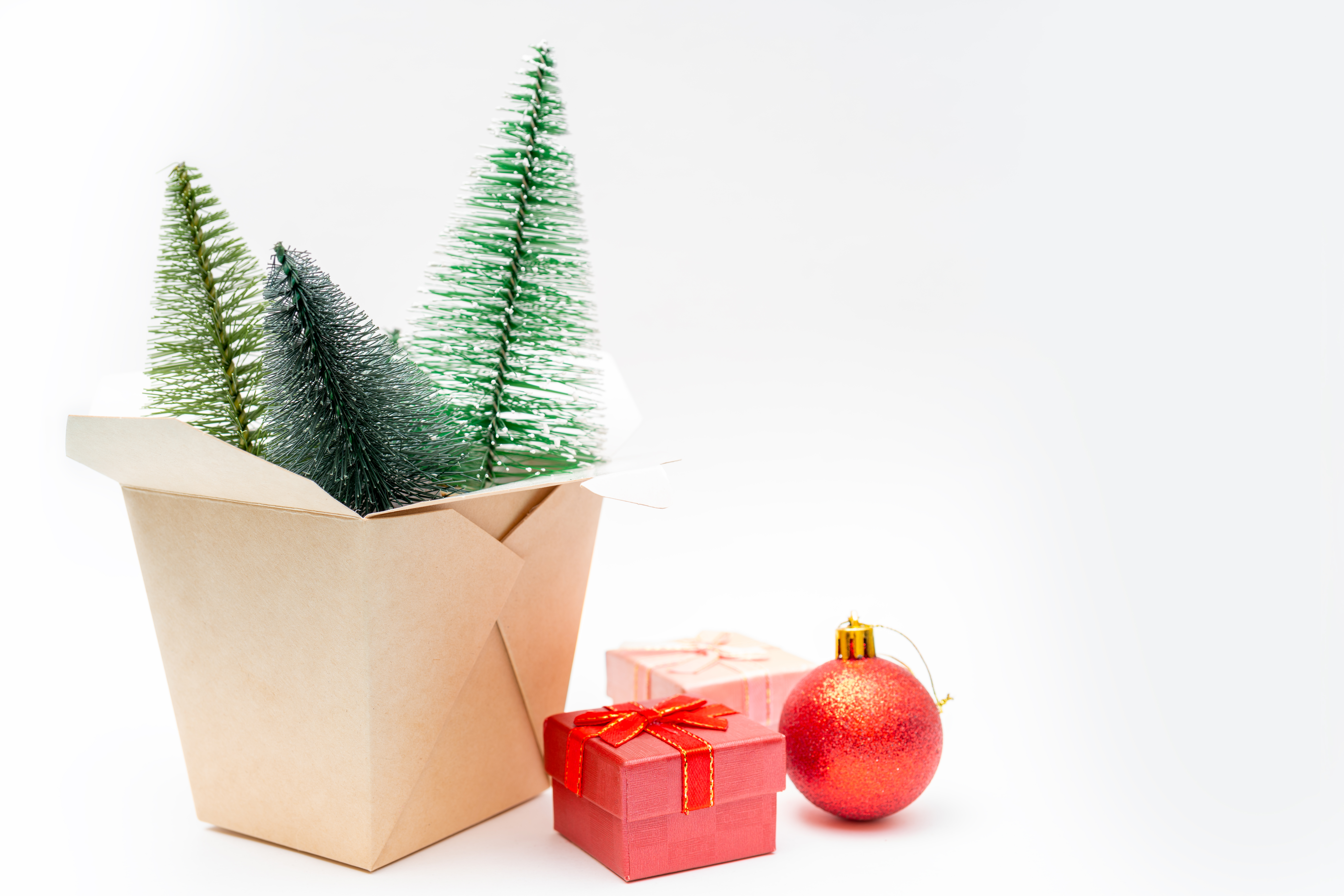 Shutterstock 1556758511